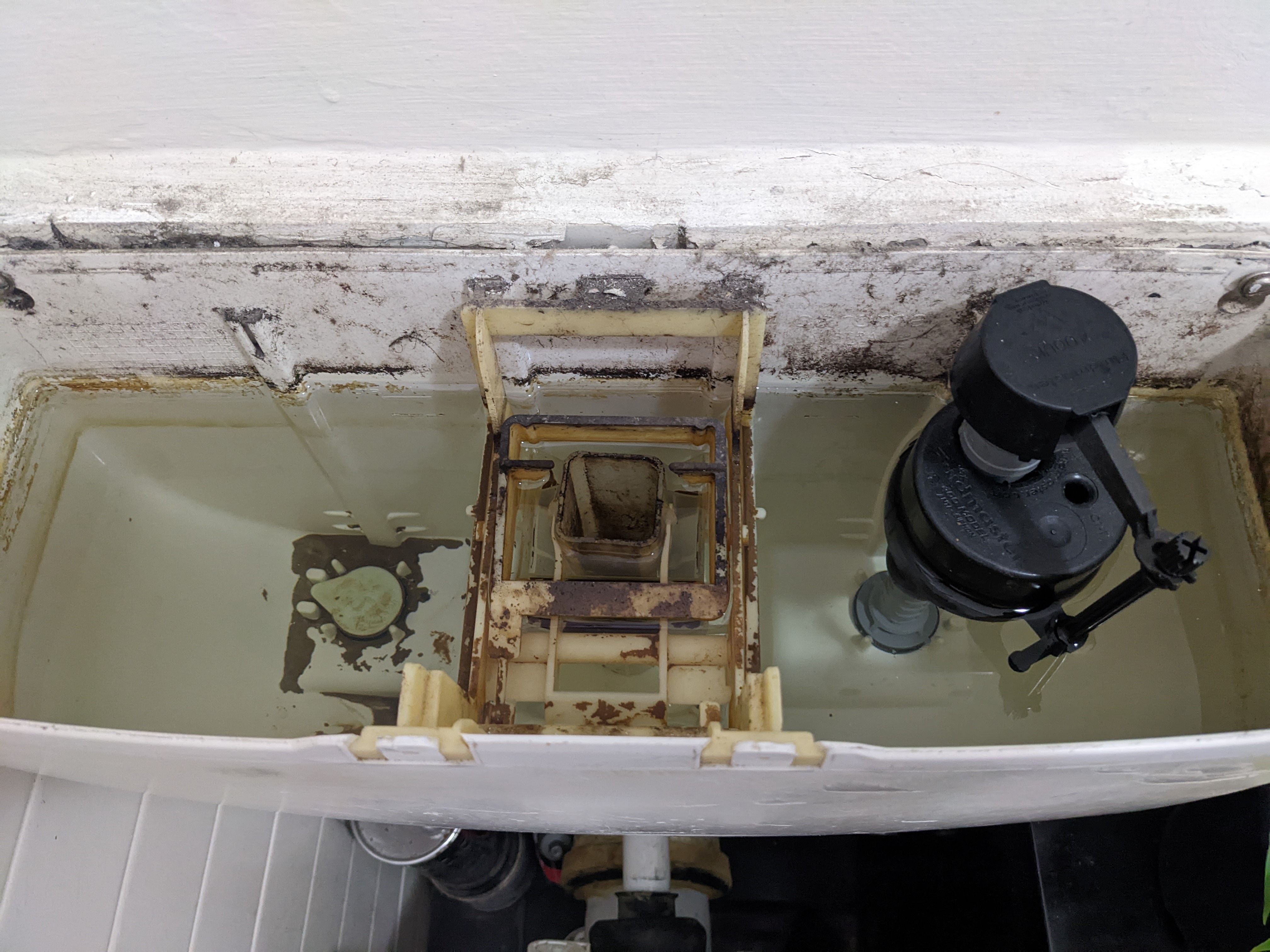 Solved Special dye to detect toilet leak? Bunnings community