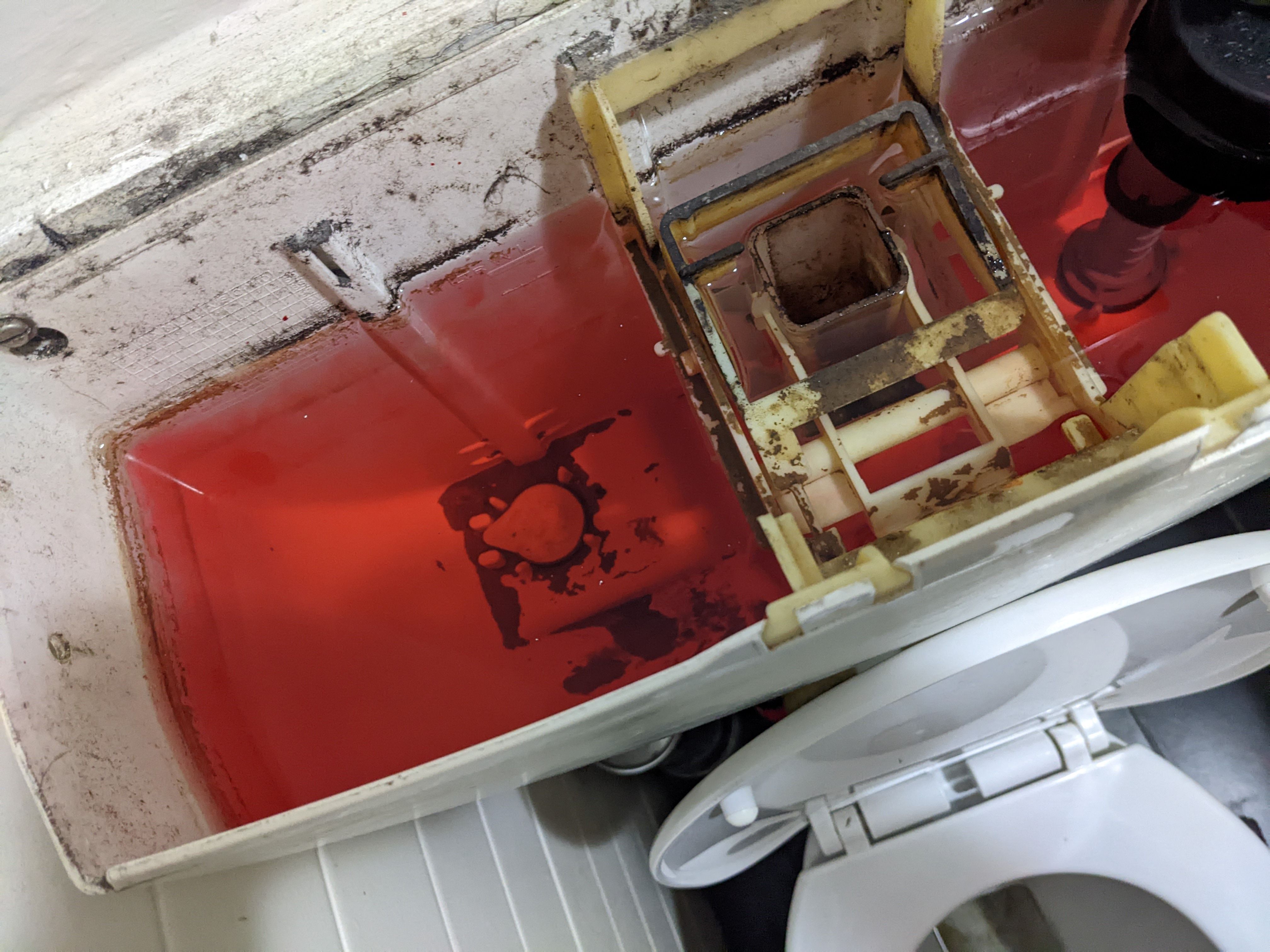 Solved Special dye to detect toilet leak? Bunnings community