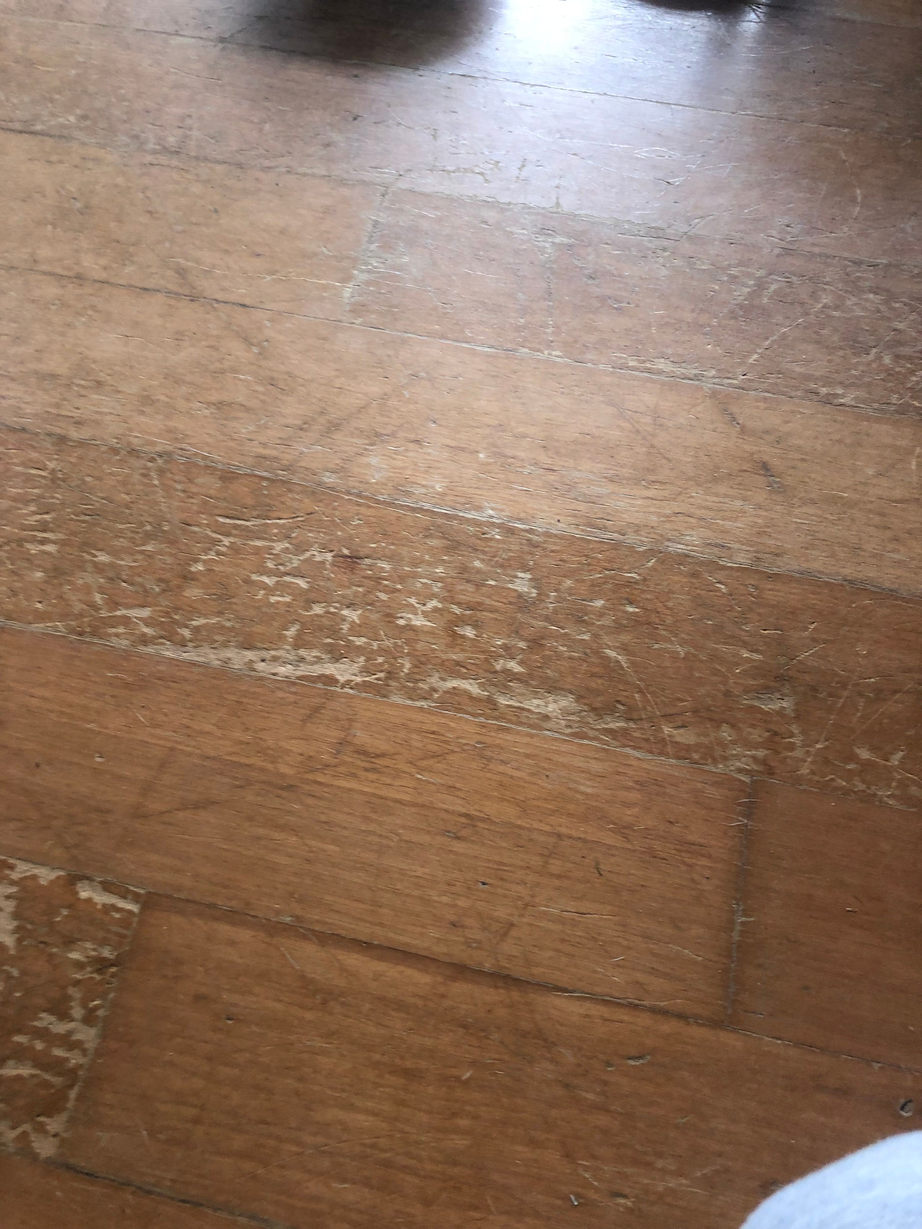 How can I fix my laminate flooring? Bunnings community