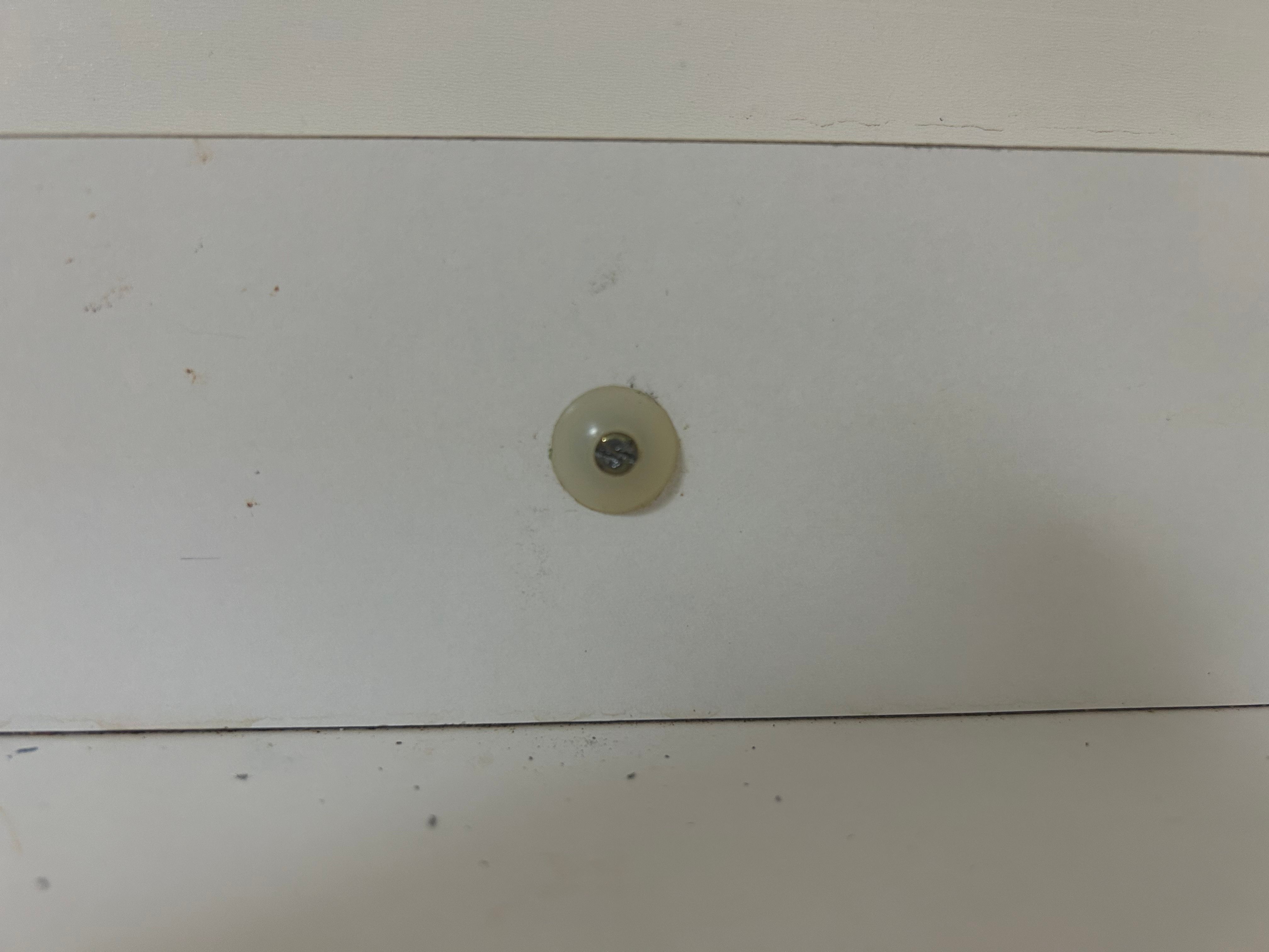 How would you remove this screw? Bunnings community