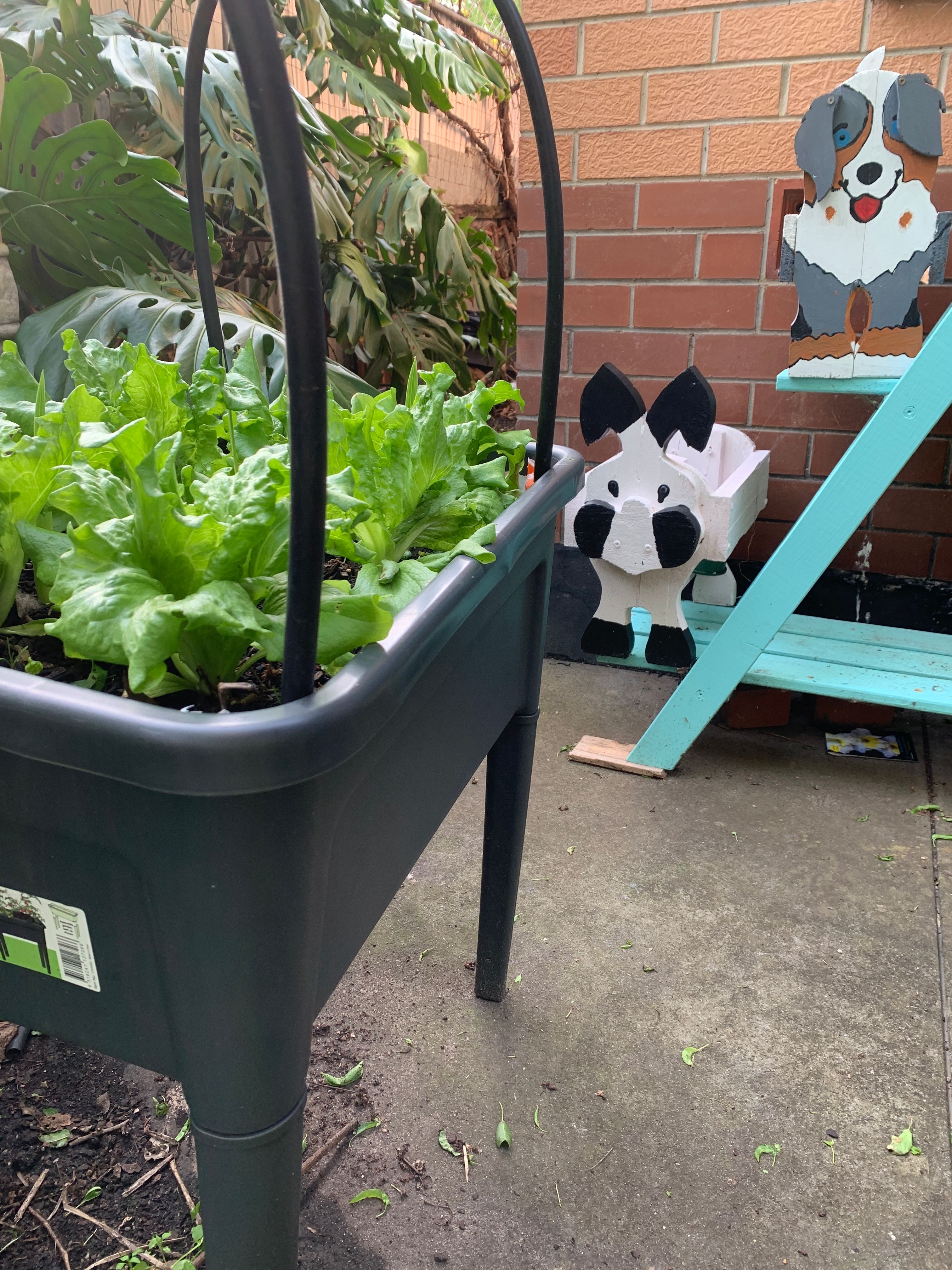 Bunnings raised garden turned into wicki... Page 2 Bunnings