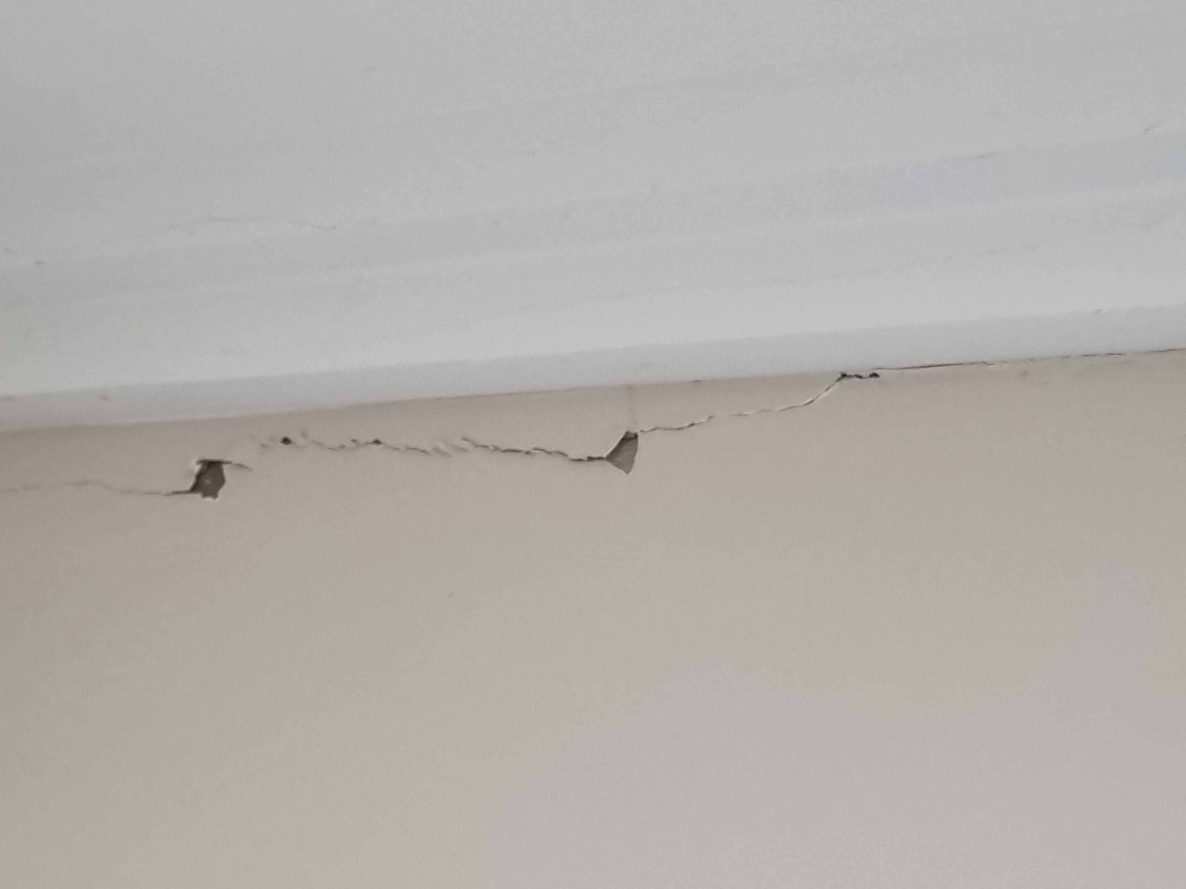 How to repair plaster walls below cornic... Bunnings community