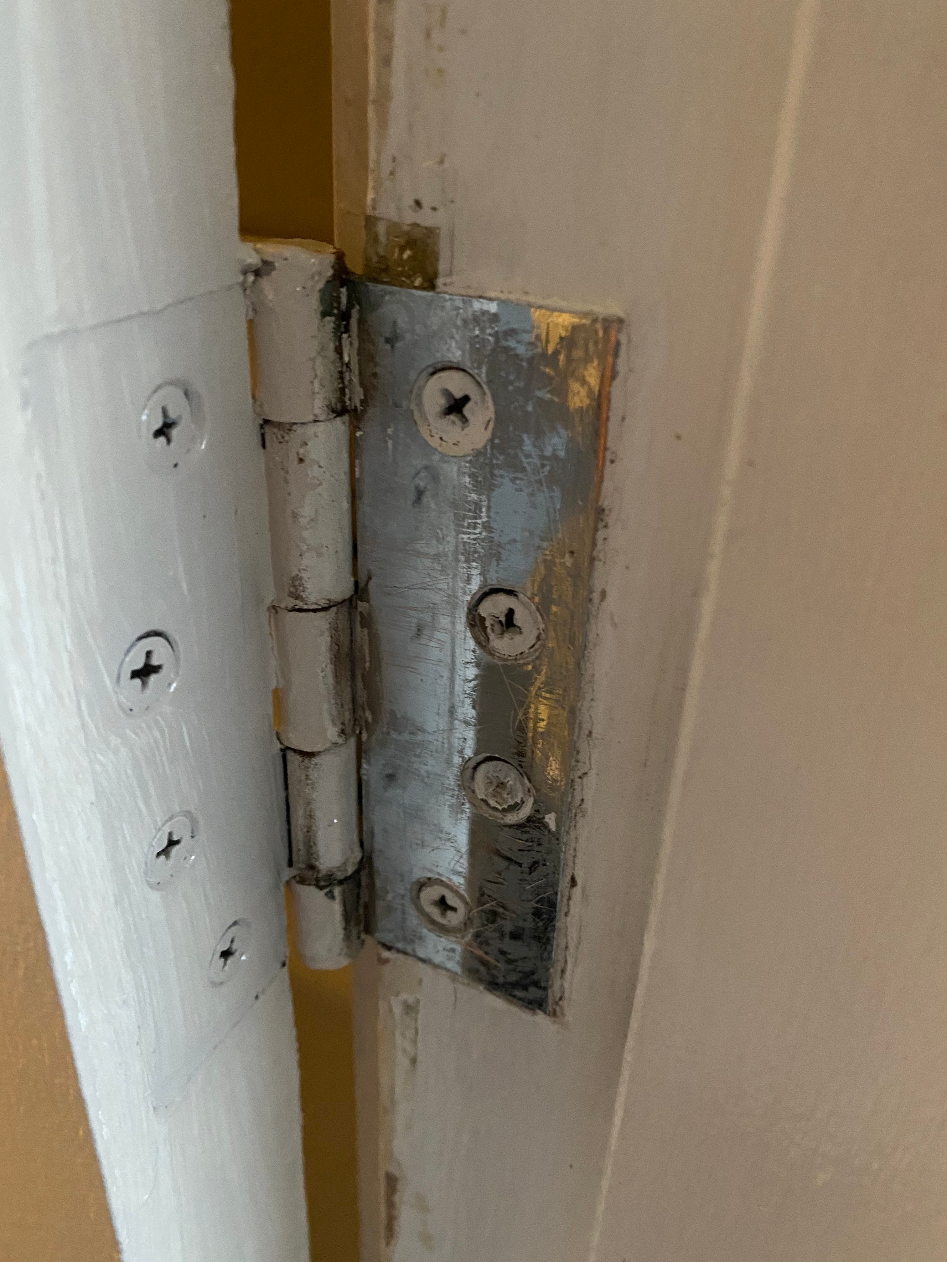 How to replace hinges on front and bedro... Bunnings community
