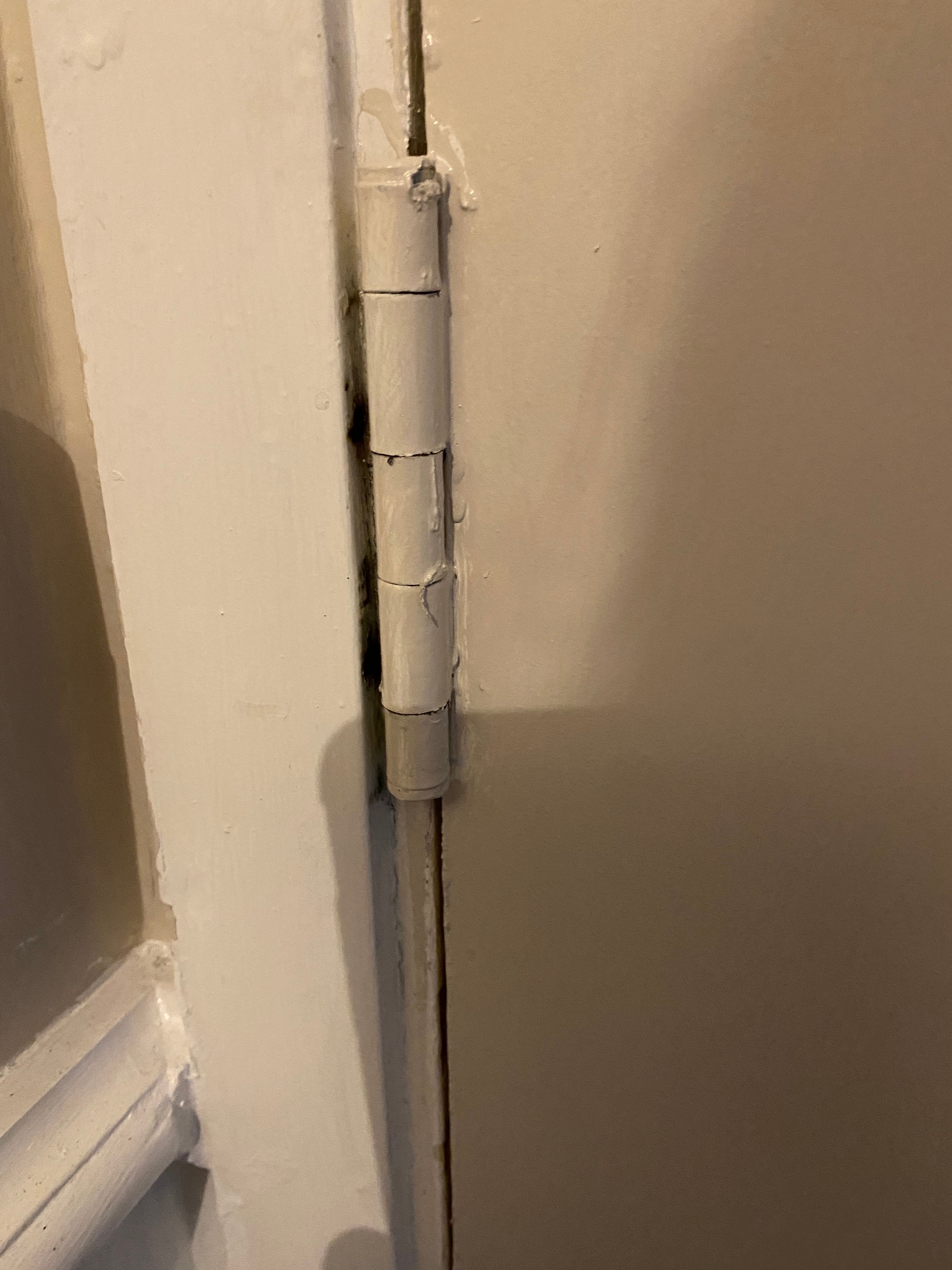 How to replace hinges on front and bedro... Bunnings community