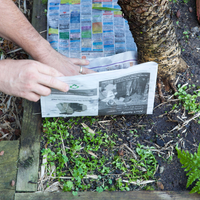 Cover weeds with newspaper or cardboard before mulching