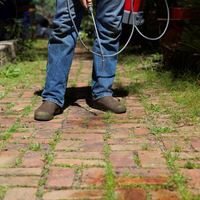 Weeds in paver gaps also need to be managed