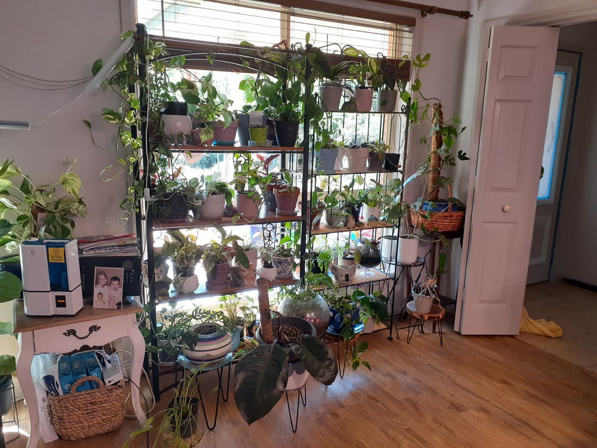 Over a Year ago.  Most are very long