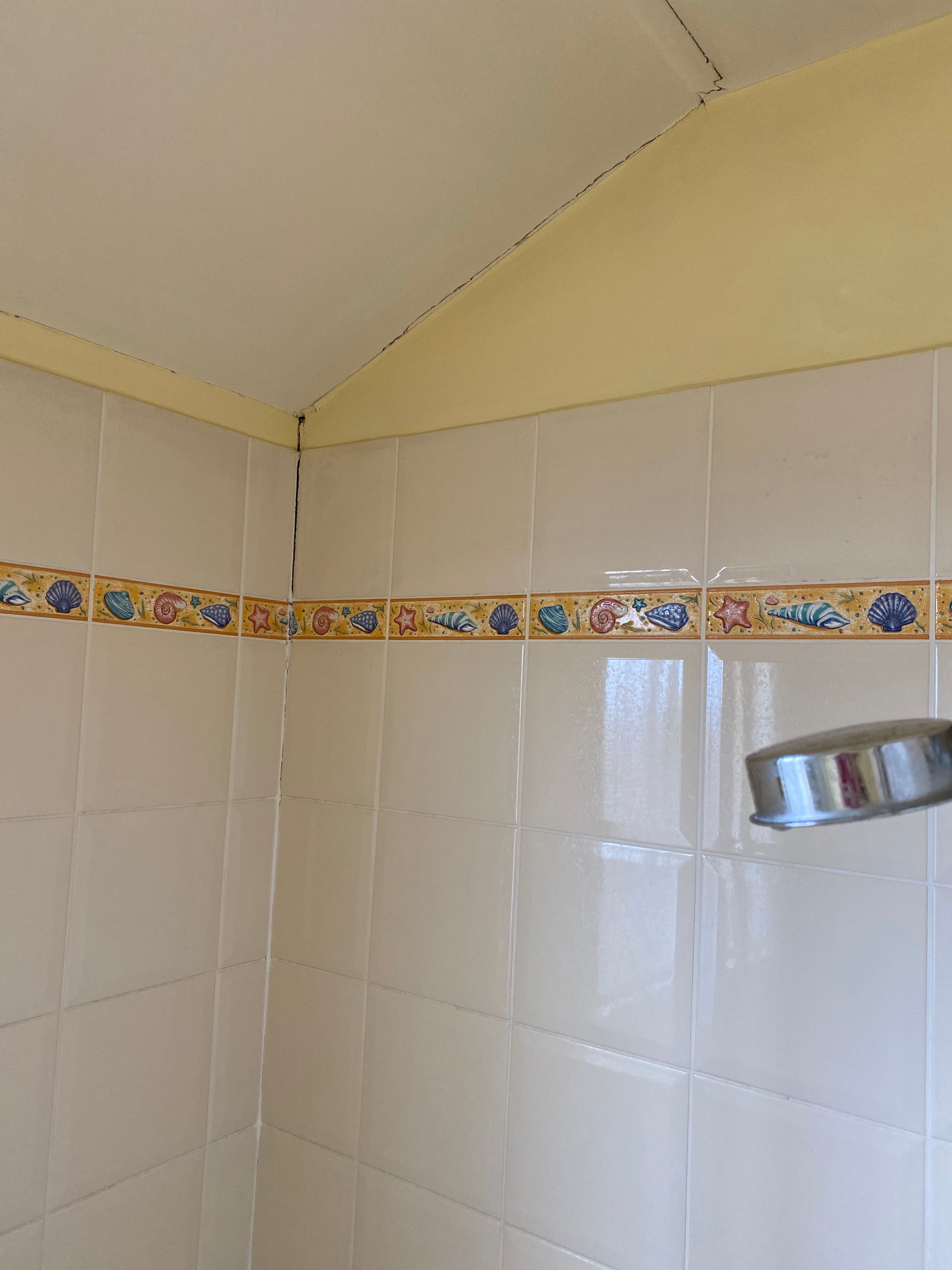 Solved How to repair cracks in bathroom ceiling... Bunnings