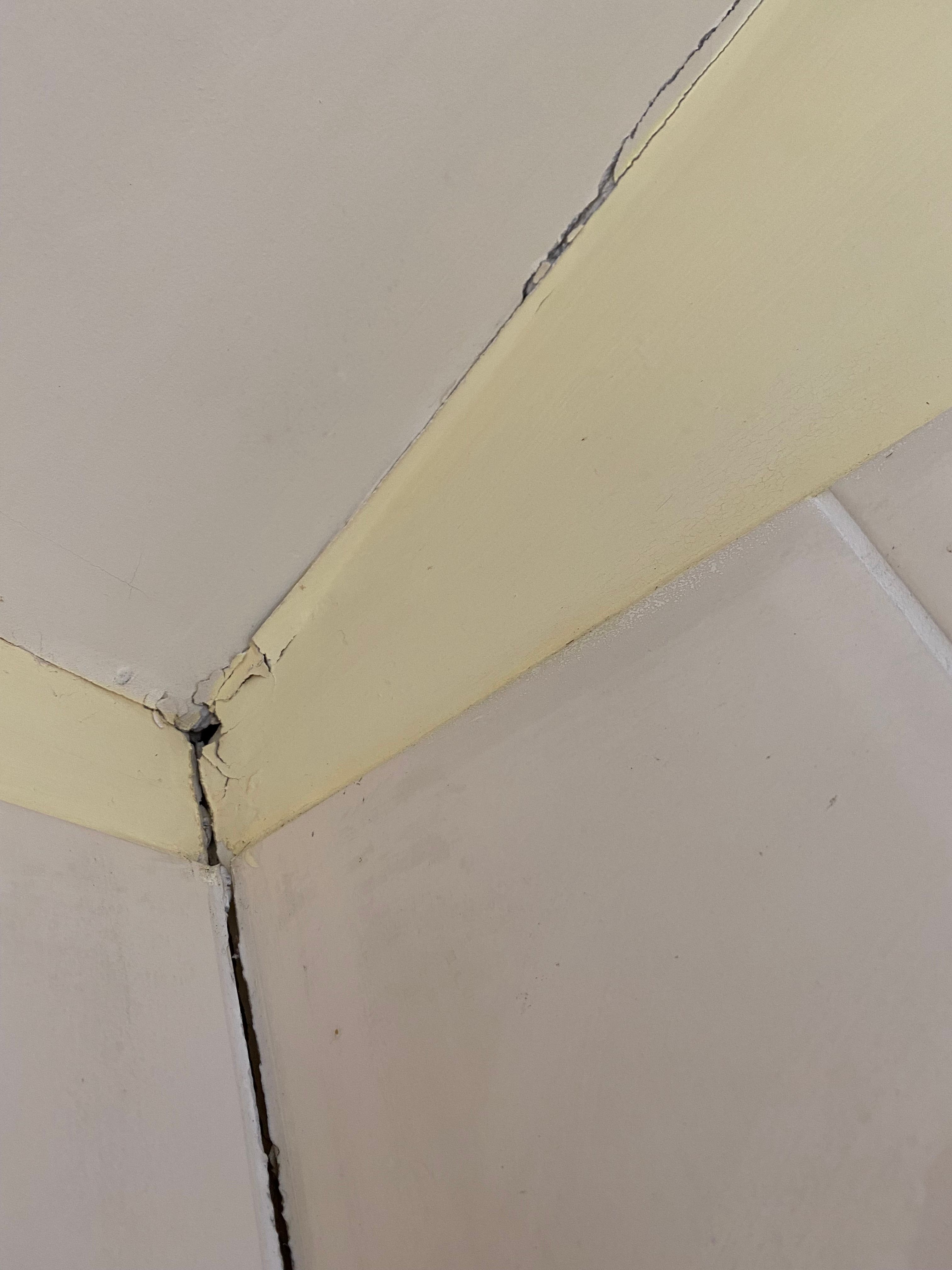 Solved How to repair cracks in bathroom ceiling... Bunnings