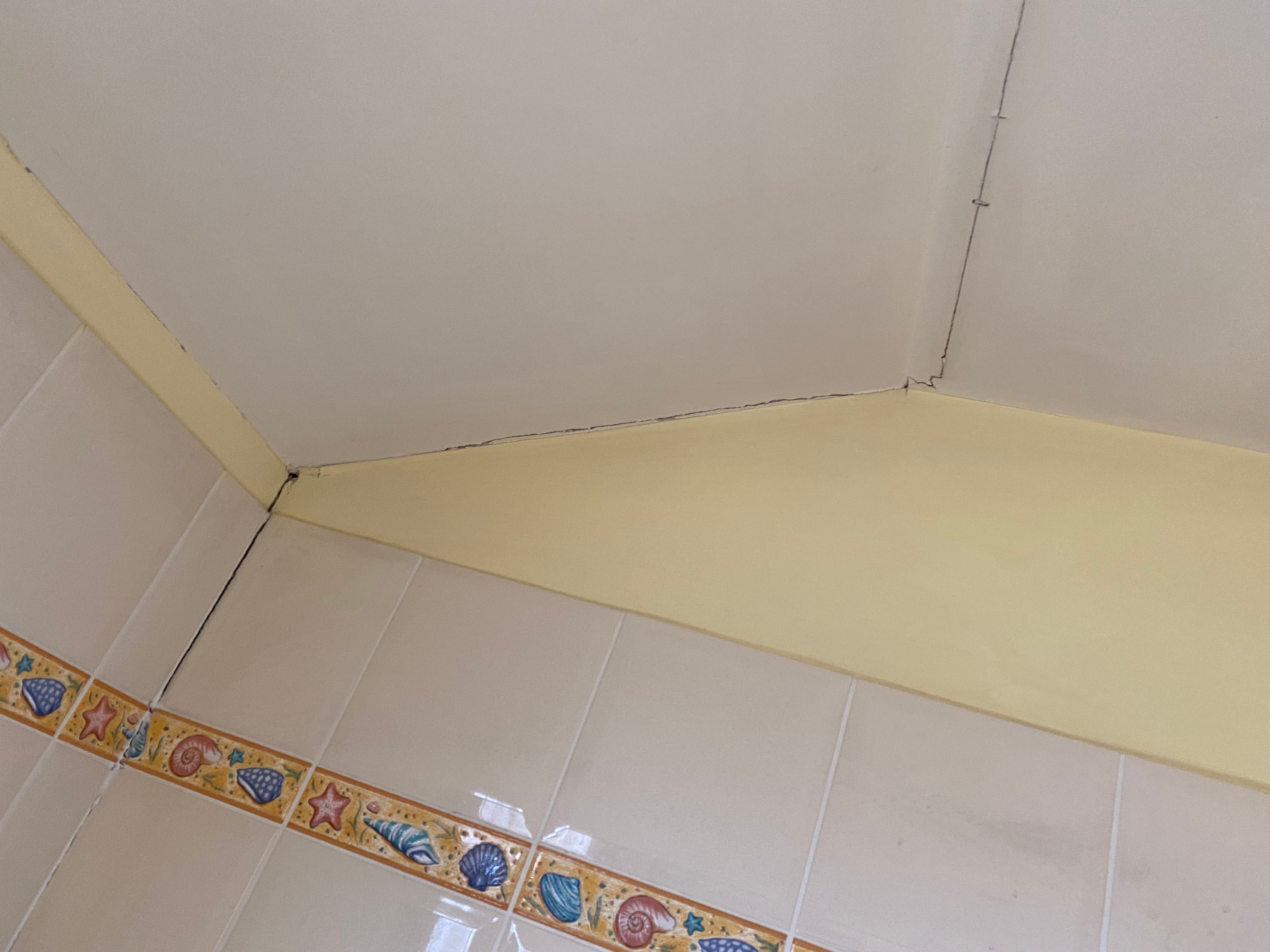 Solved How to repair cracks in bathroom ceiling... Bunnings