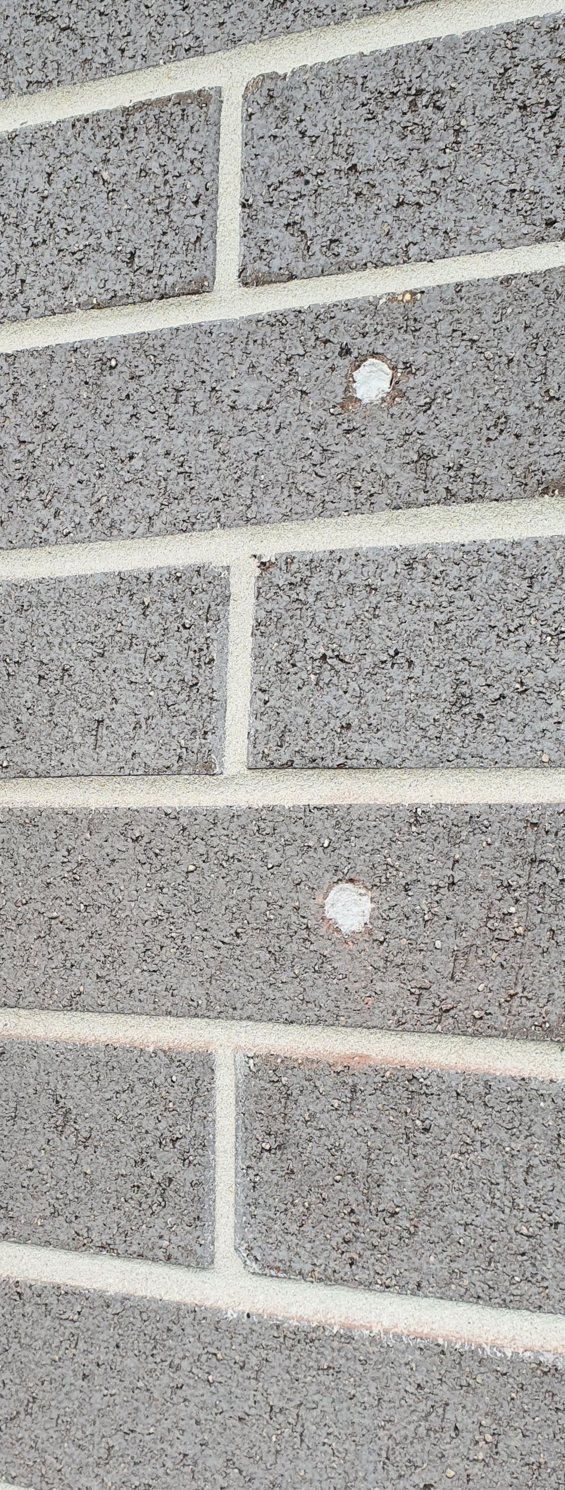 How to fill masonry anchor holes in bric... | Bunnings Workshop community