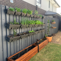 Vertical garden and Merbau planter boxes