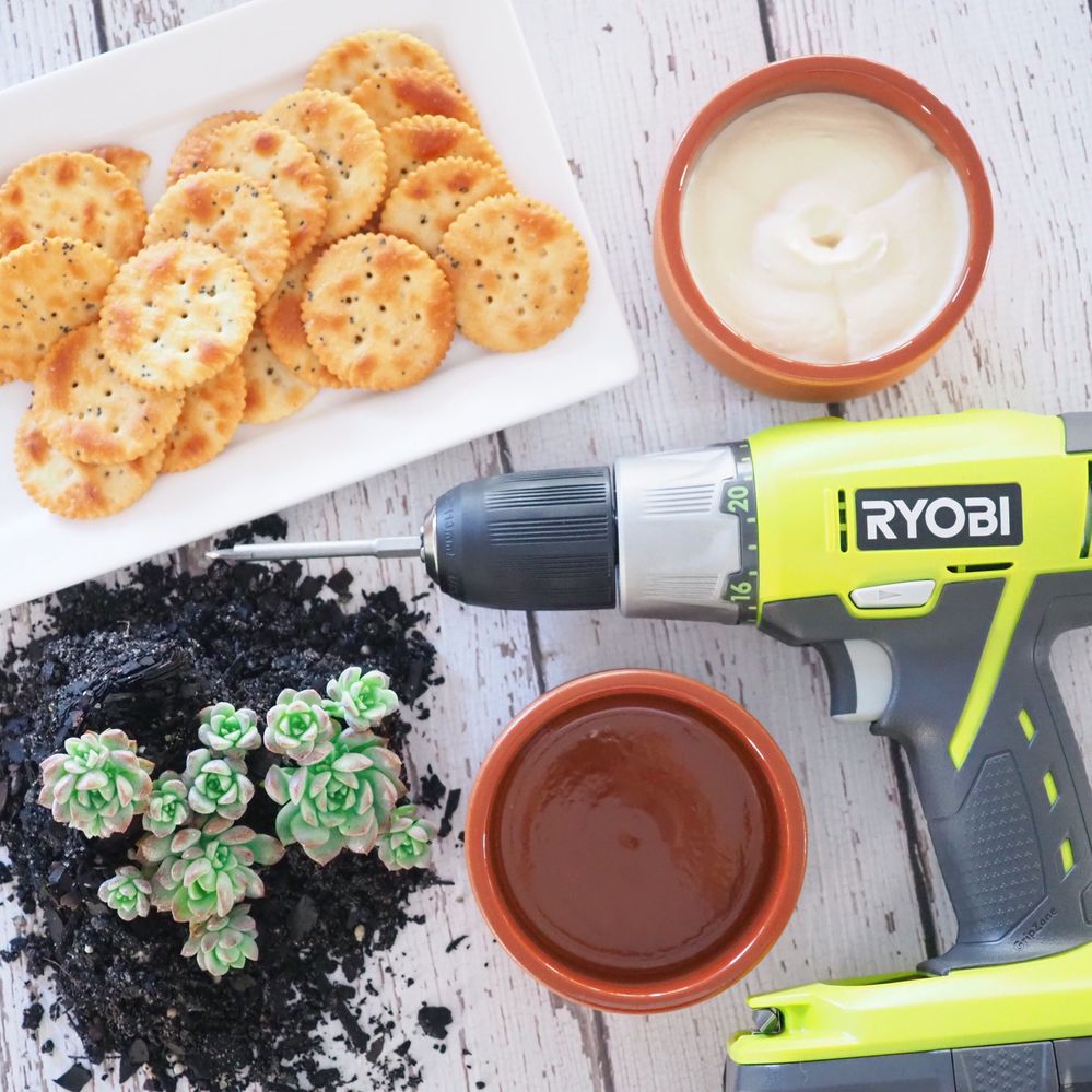 Dip container turned succulent pot 1 _ The Organised Housewife.JPG