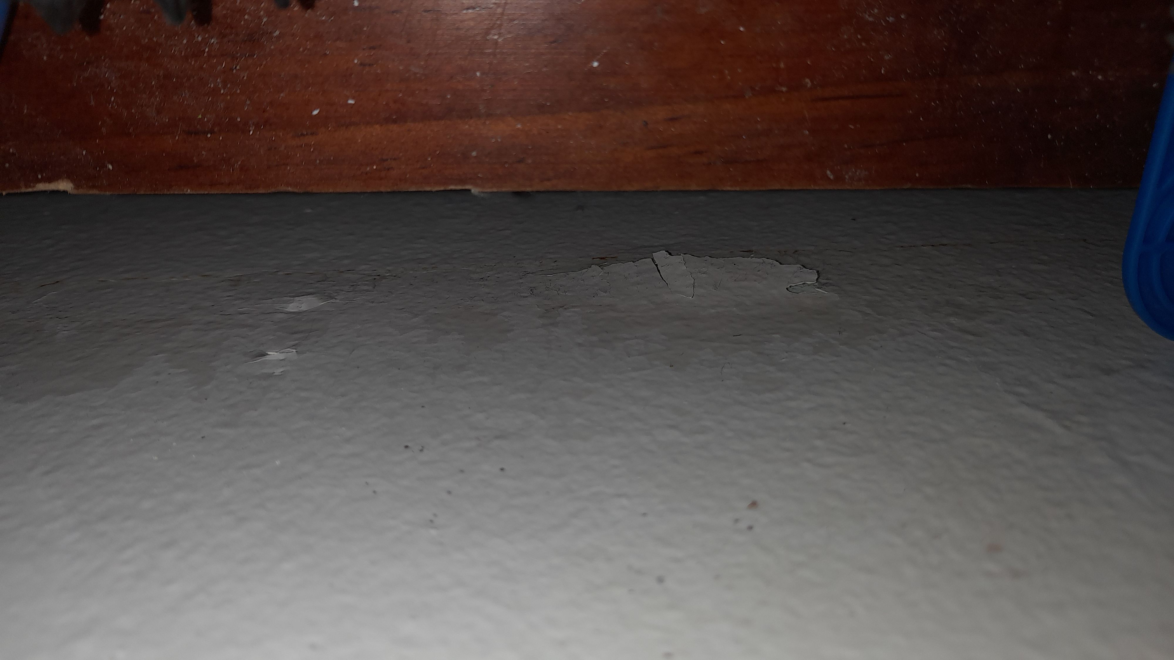 How do I repair peeled paint without rep... Bunnings community