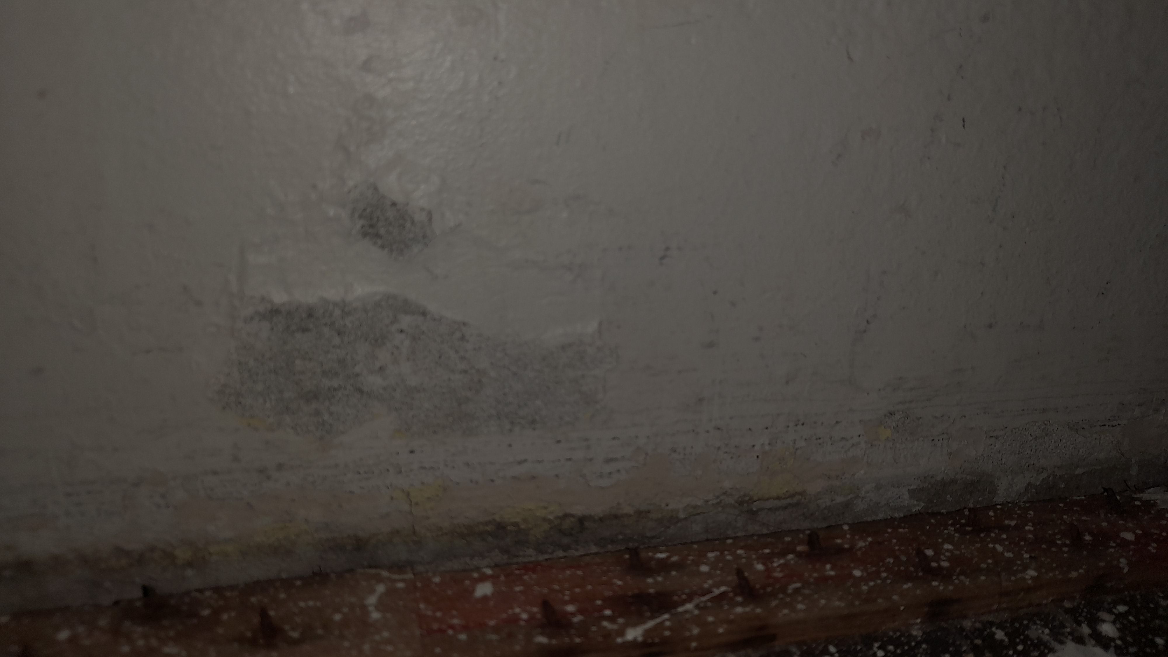 How do I repair peeled paint without rep... Bunnings community