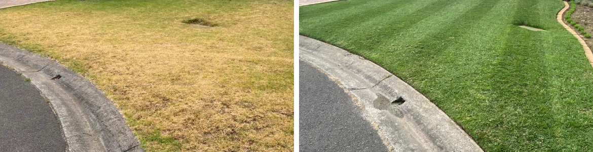 Lawn Renovation - Home in Melbourne.png