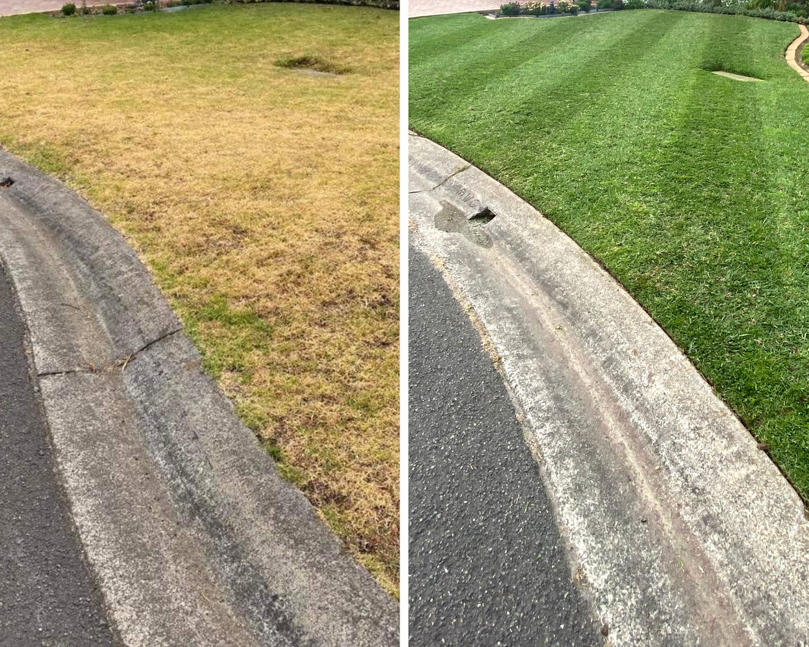 Before & After Lawn Renovation