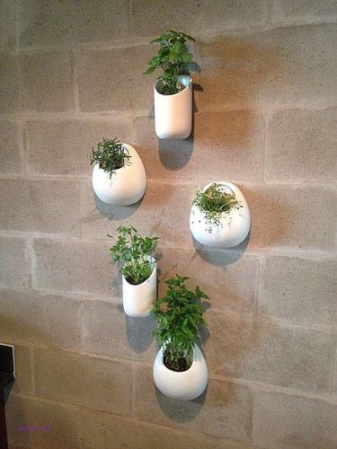 wall-decor-beautiful-decorative-planters-indoor-regarding-ideas-4.jpg
