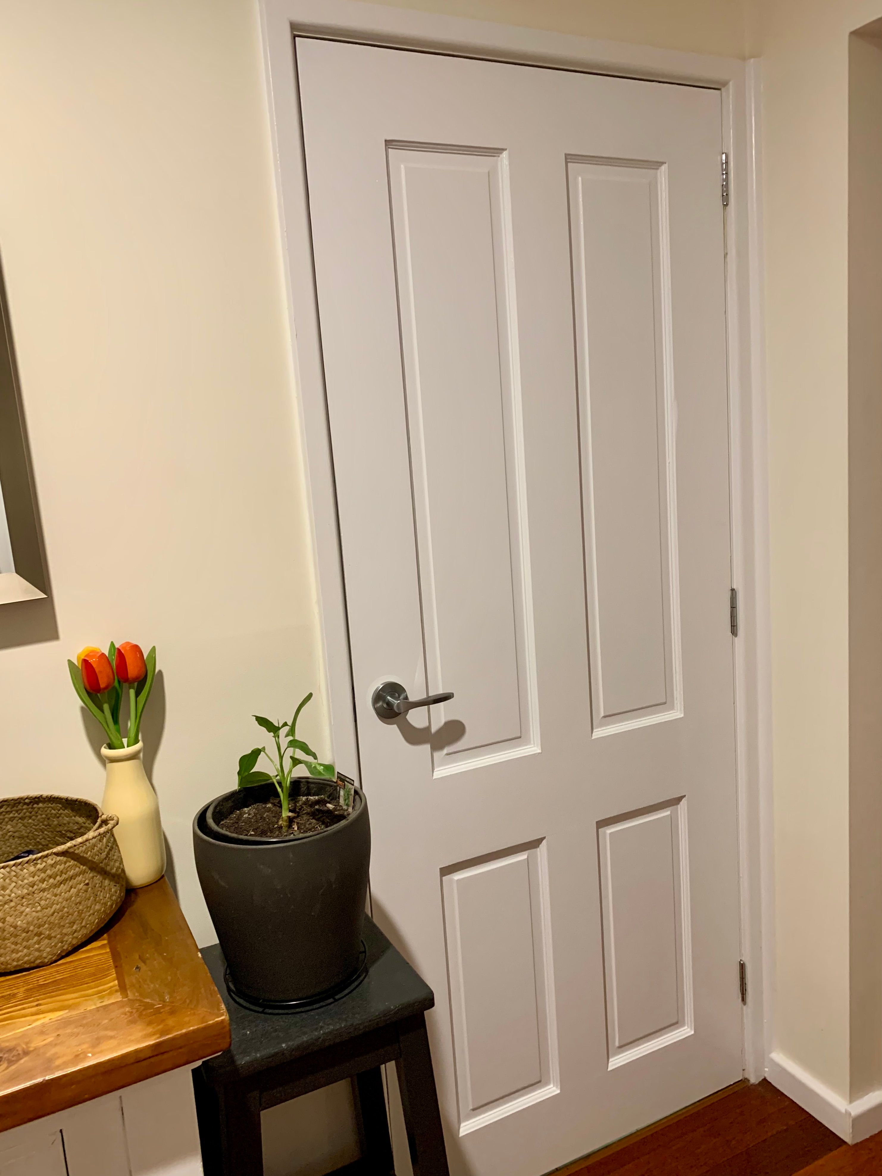 Internal doors replaced Bunnings community