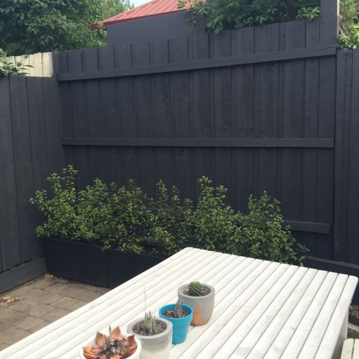 Top 10 most popular painting projects Bunnings community