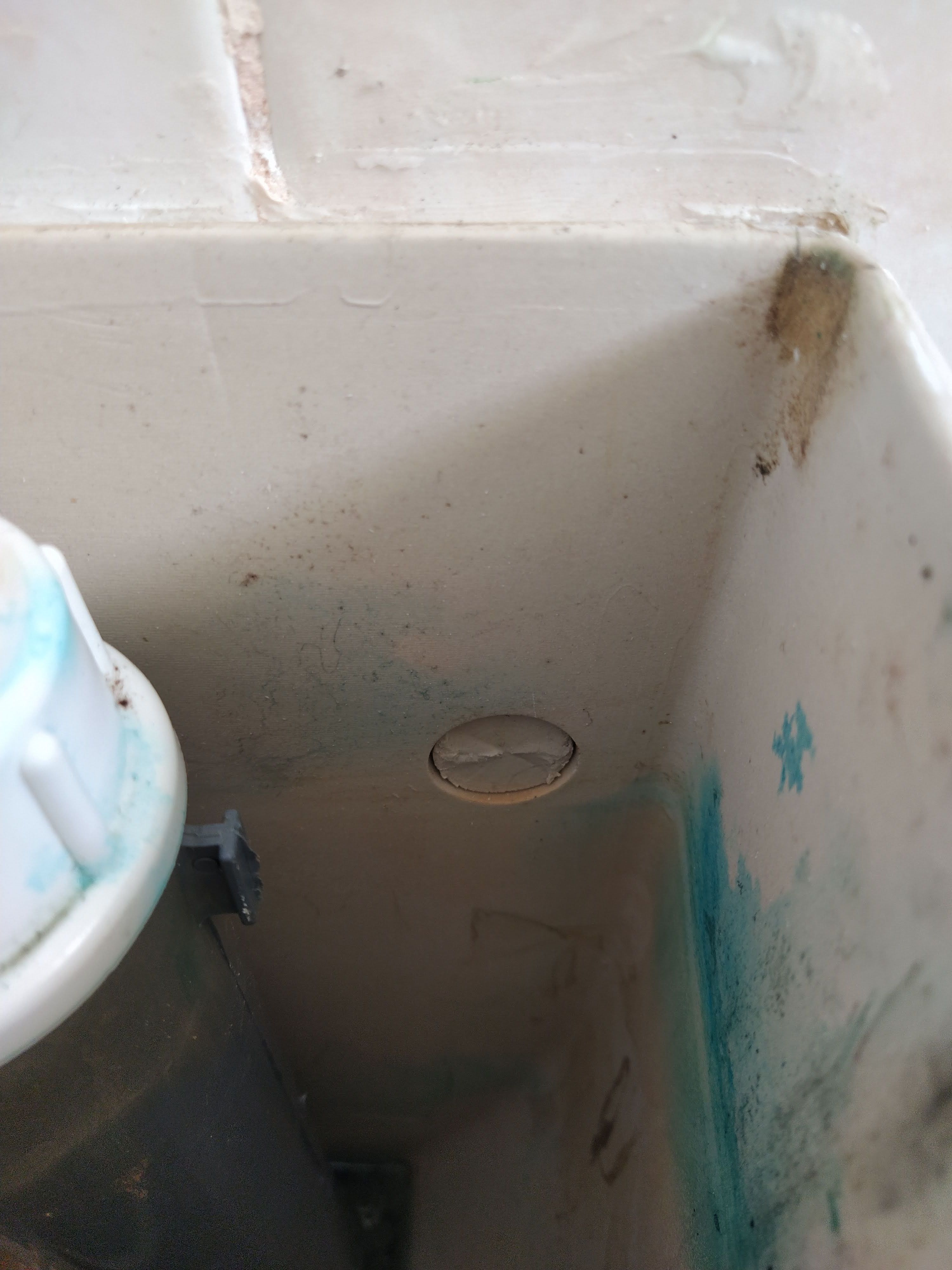 How to remove this cover from a Caroma t... Bunnings community