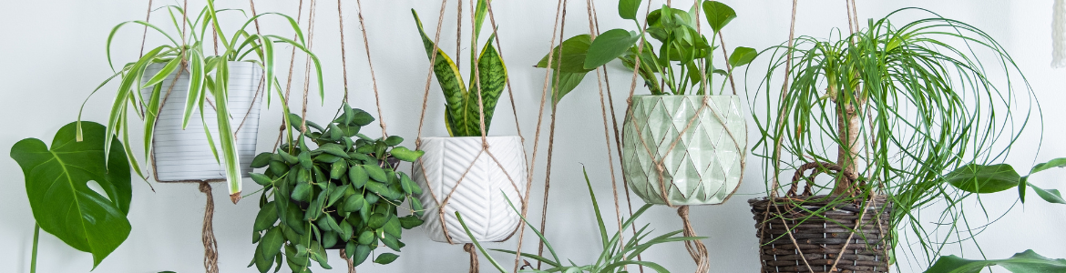 Hero Image Test Blog (99).png