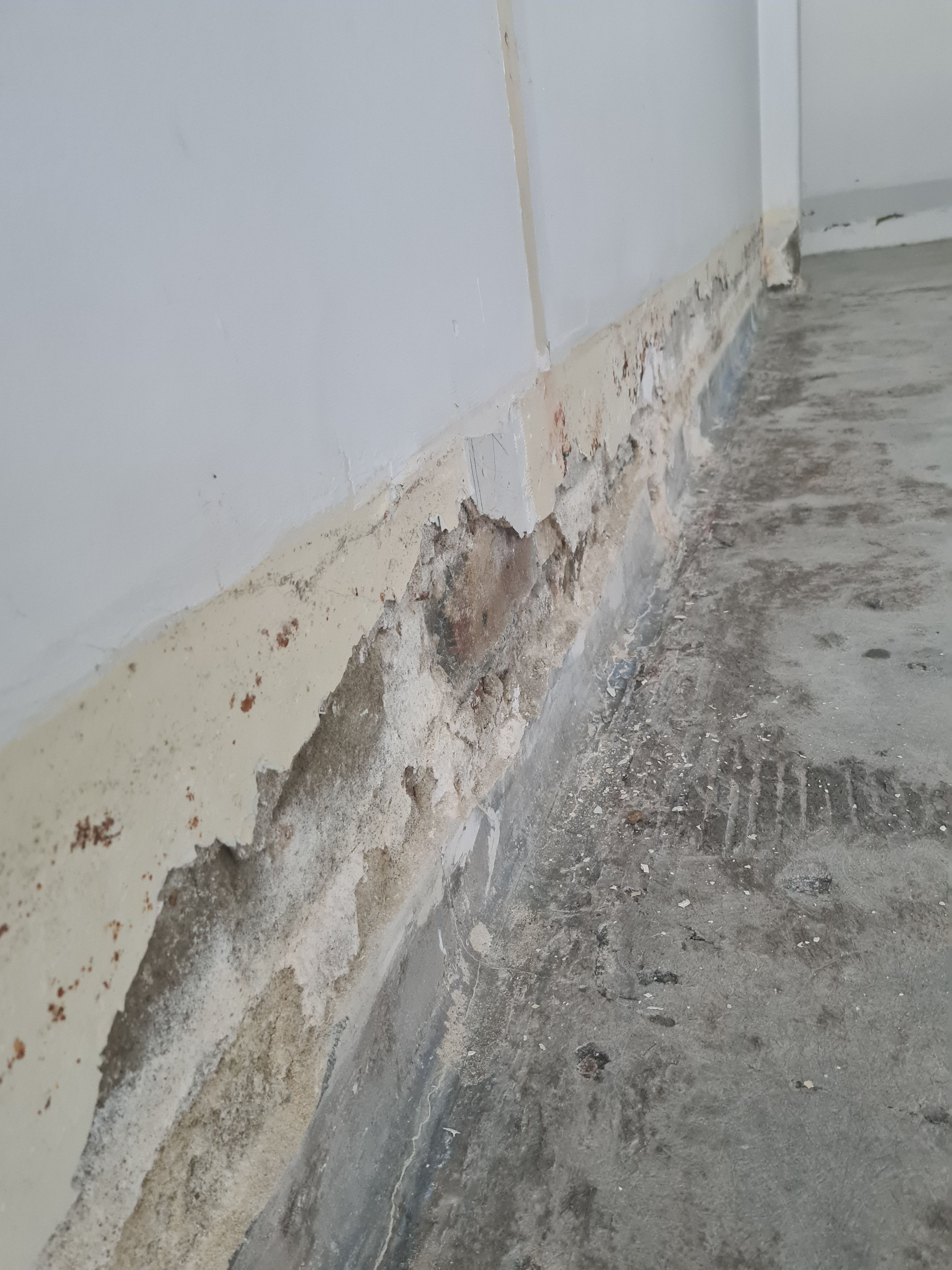 How to repair concrete wall for painting... Page 2 Bunnings community