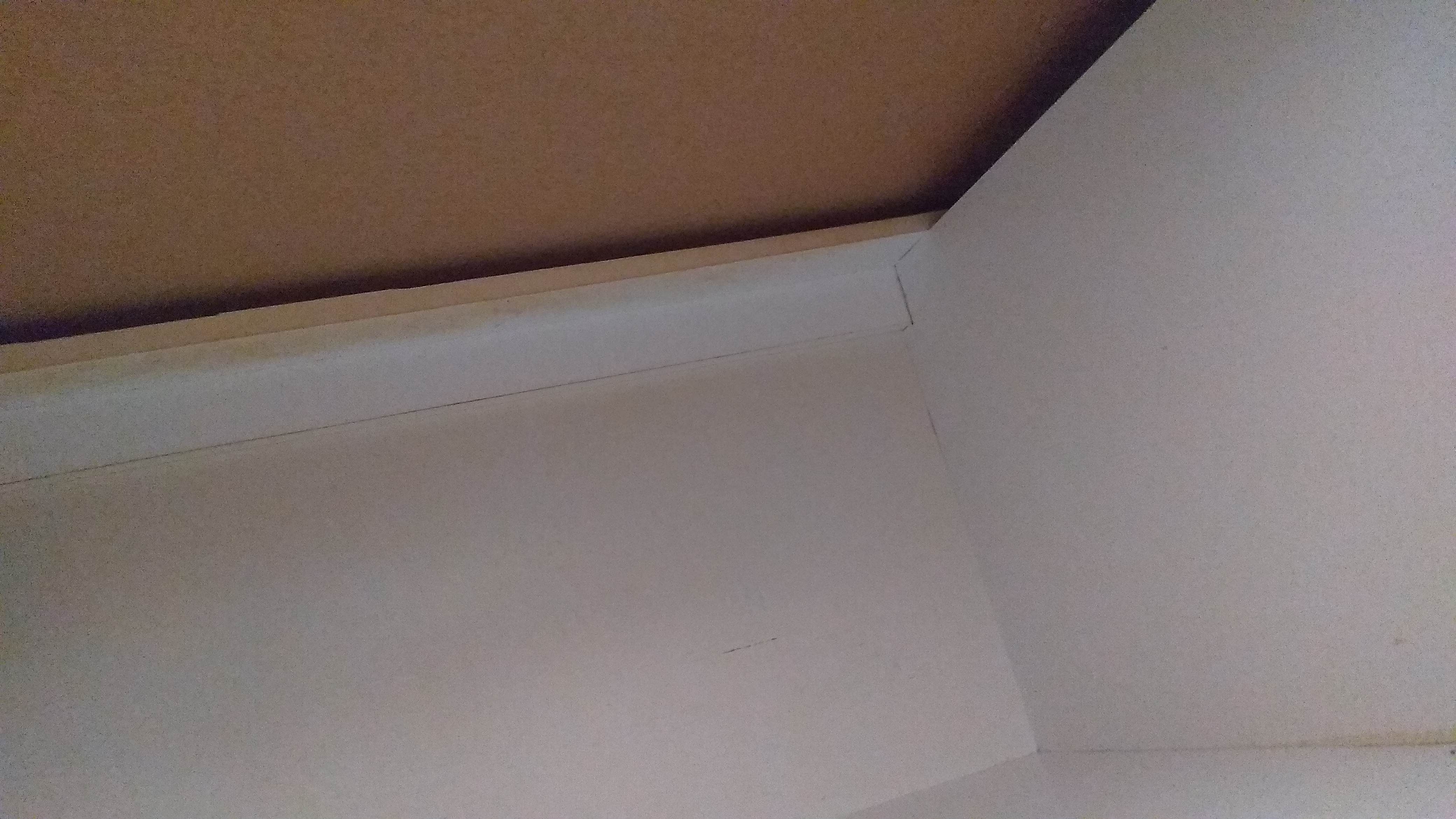 Sealing particle board Bunnings community