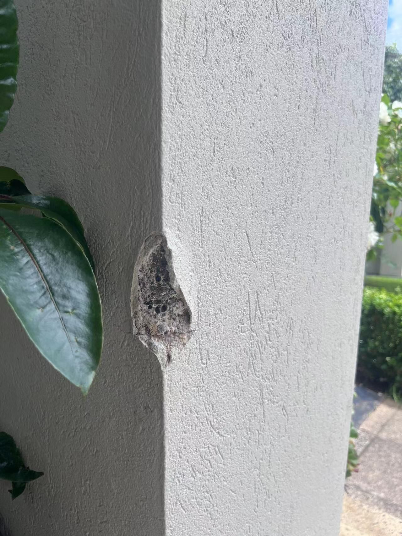 How to repair render on wall? Bunnings community