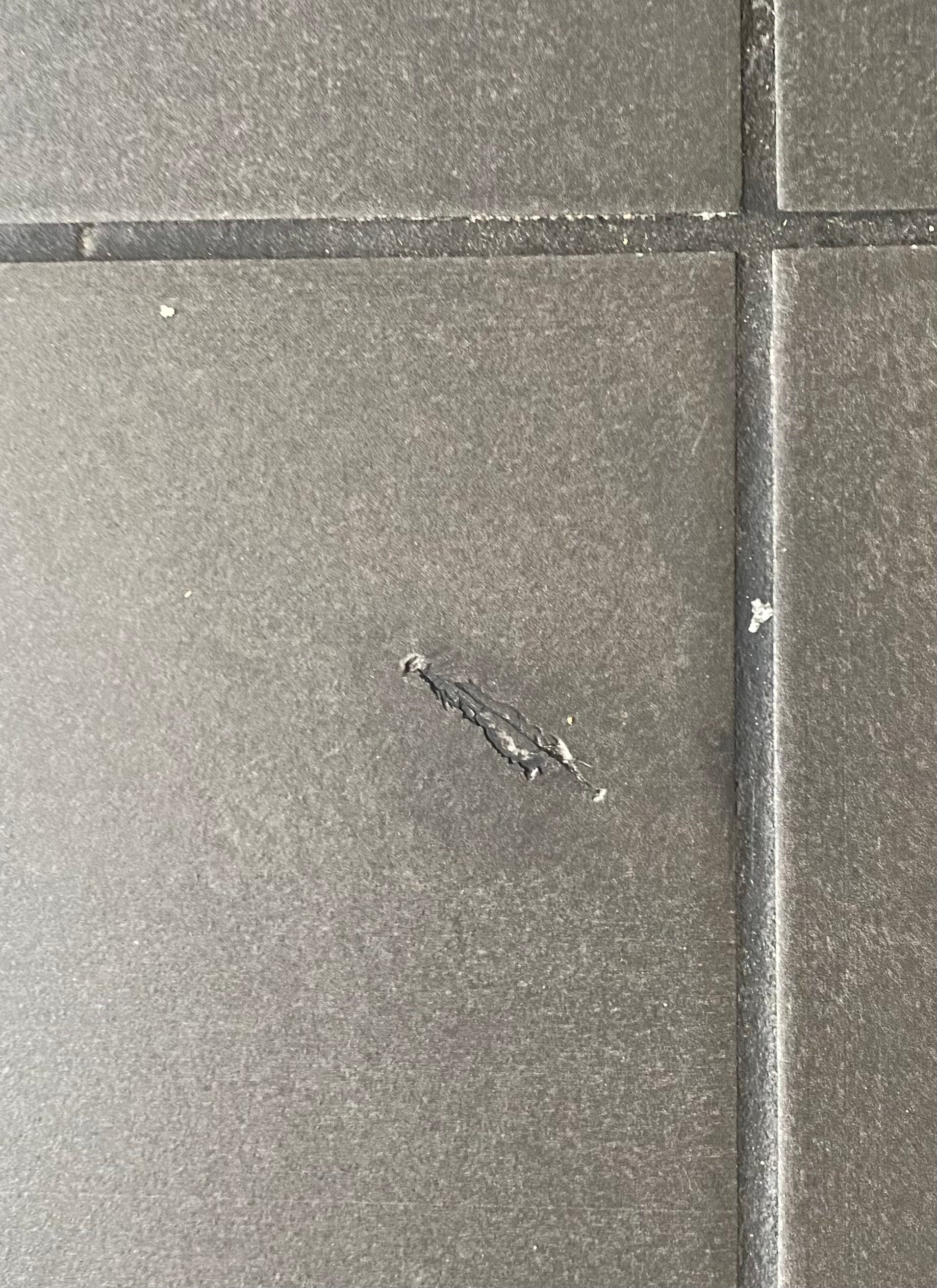 How to fix a tile without replacing it? Bunnings community