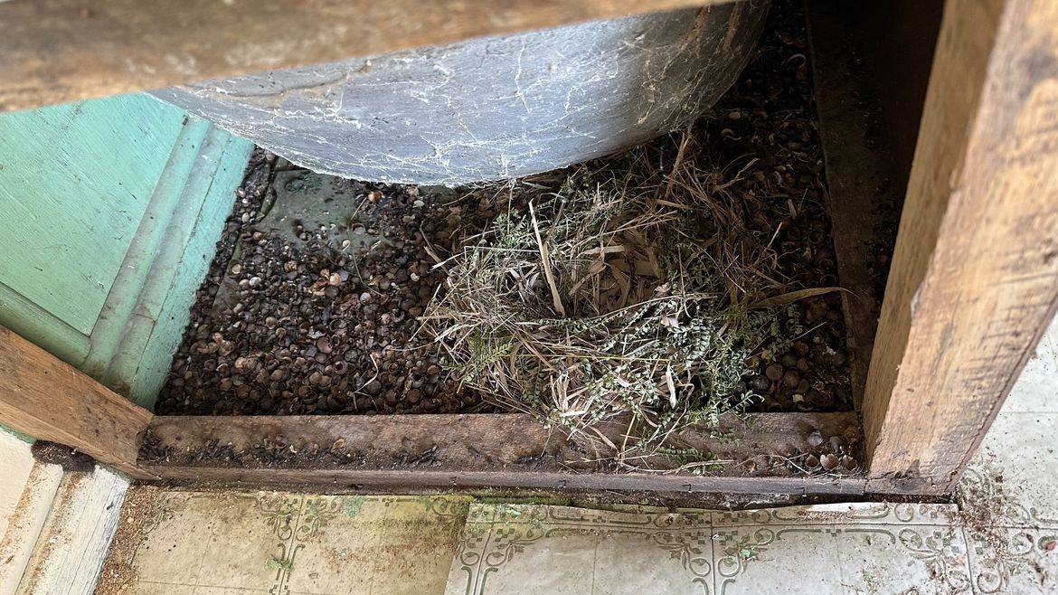 I appreciate good architecture no matter where it comes from.