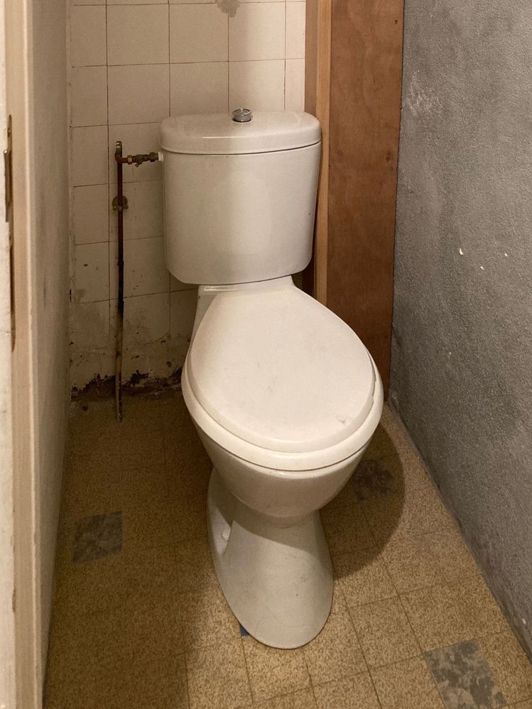 toilet-before.jpeg