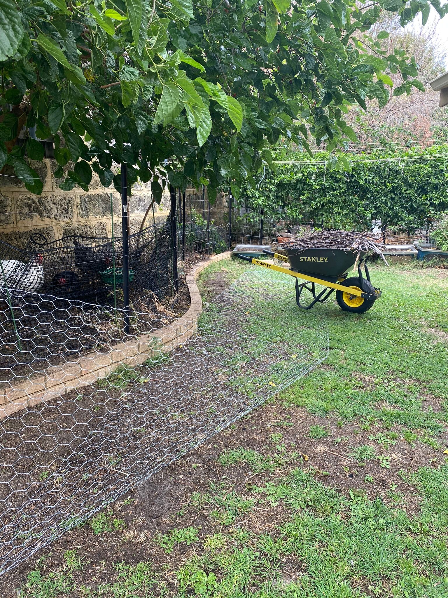 How to replace a chicken run fence Bunnings community