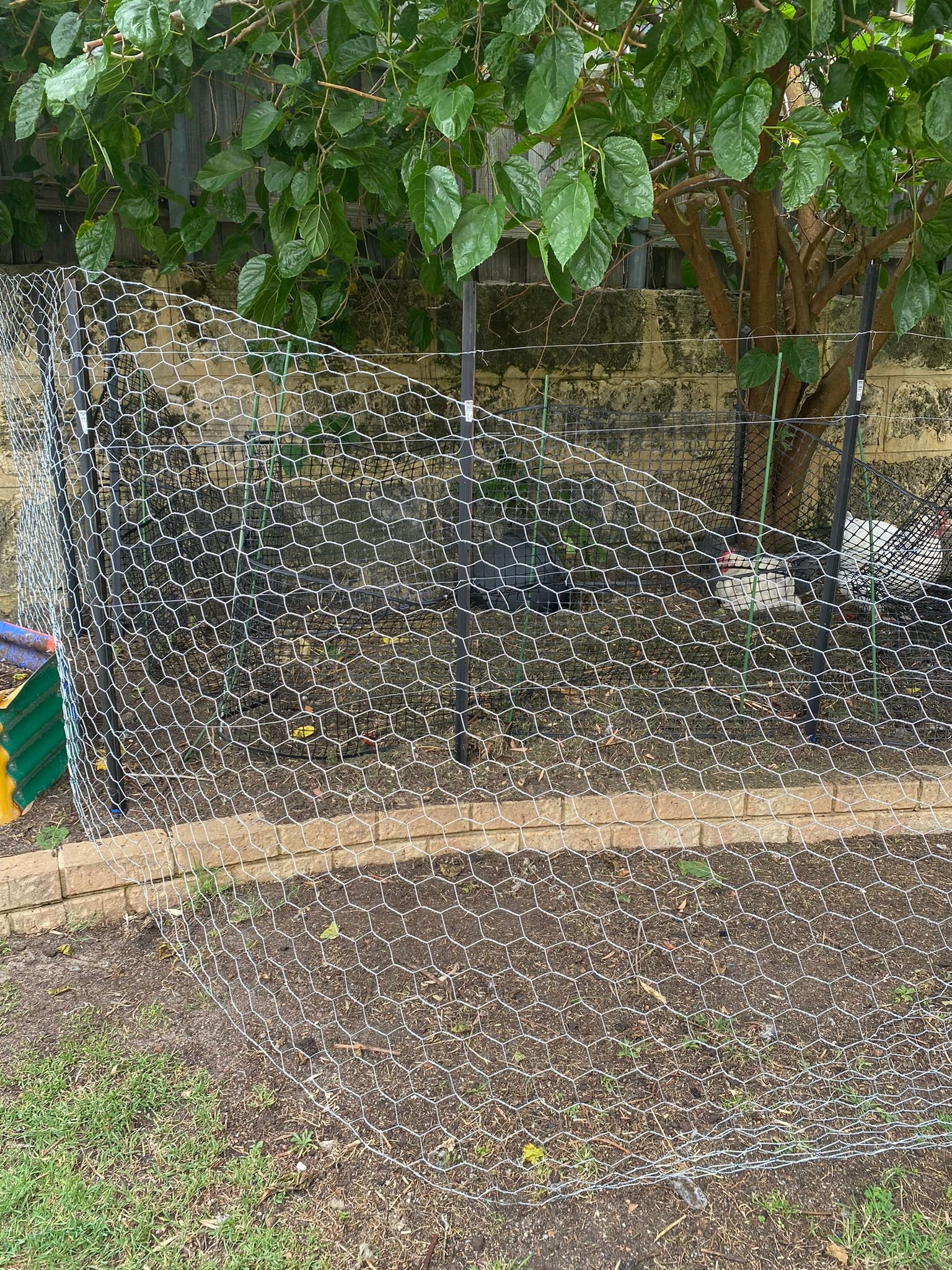 How to replace a chicken run fence Bunnings community