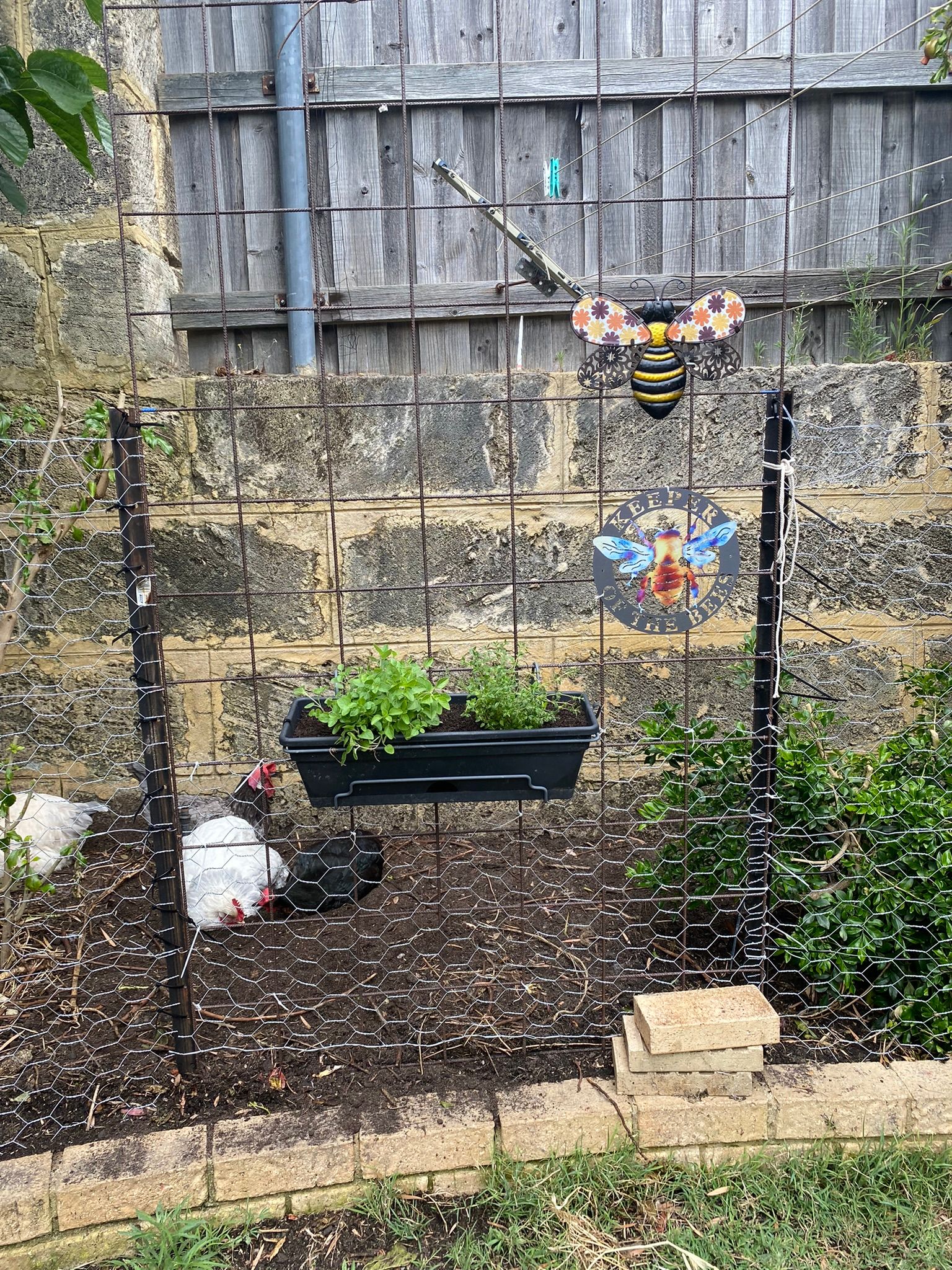 How to replace a chicken run fence Bunnings community