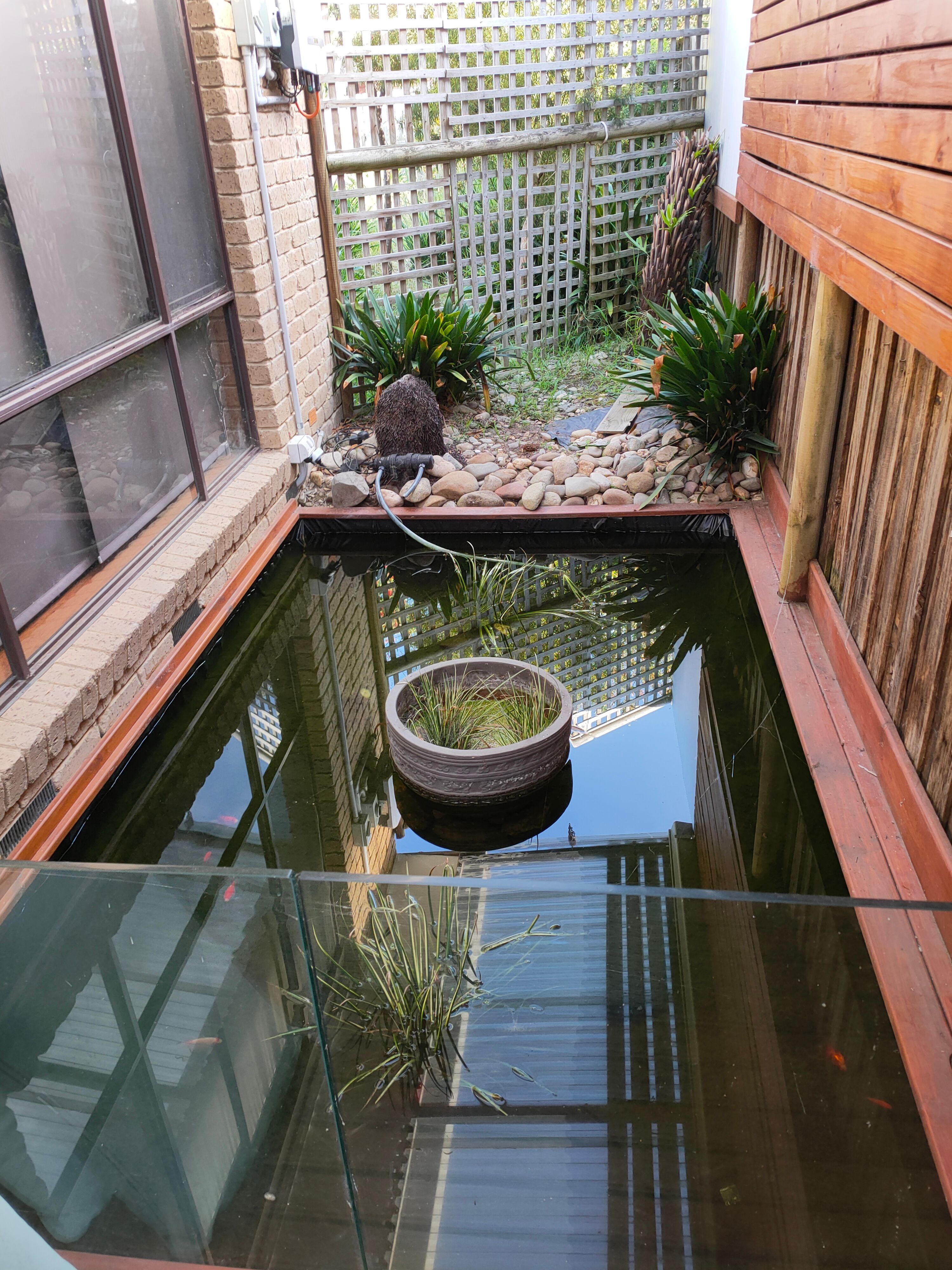 Solved How to refresh my fish pond? Bunnings community