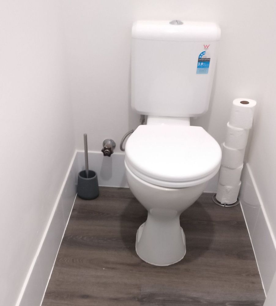 new-toilet.jpg