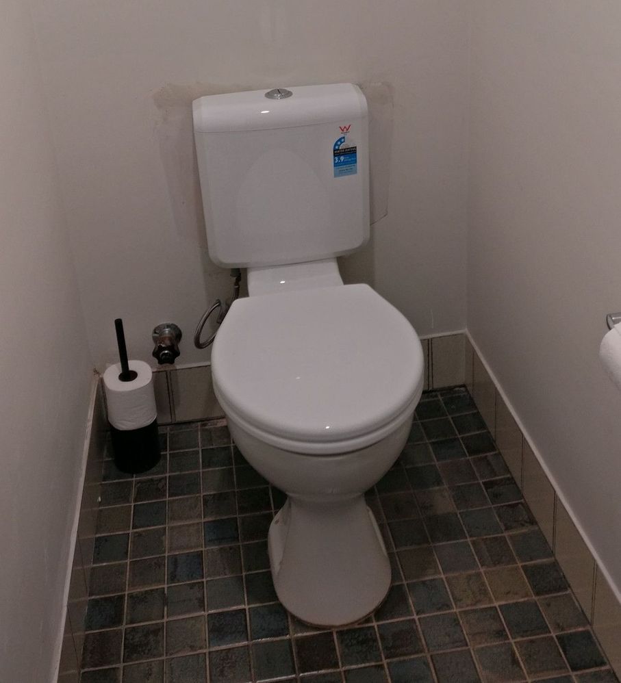 new-cistern-and-seat-installed.jpg