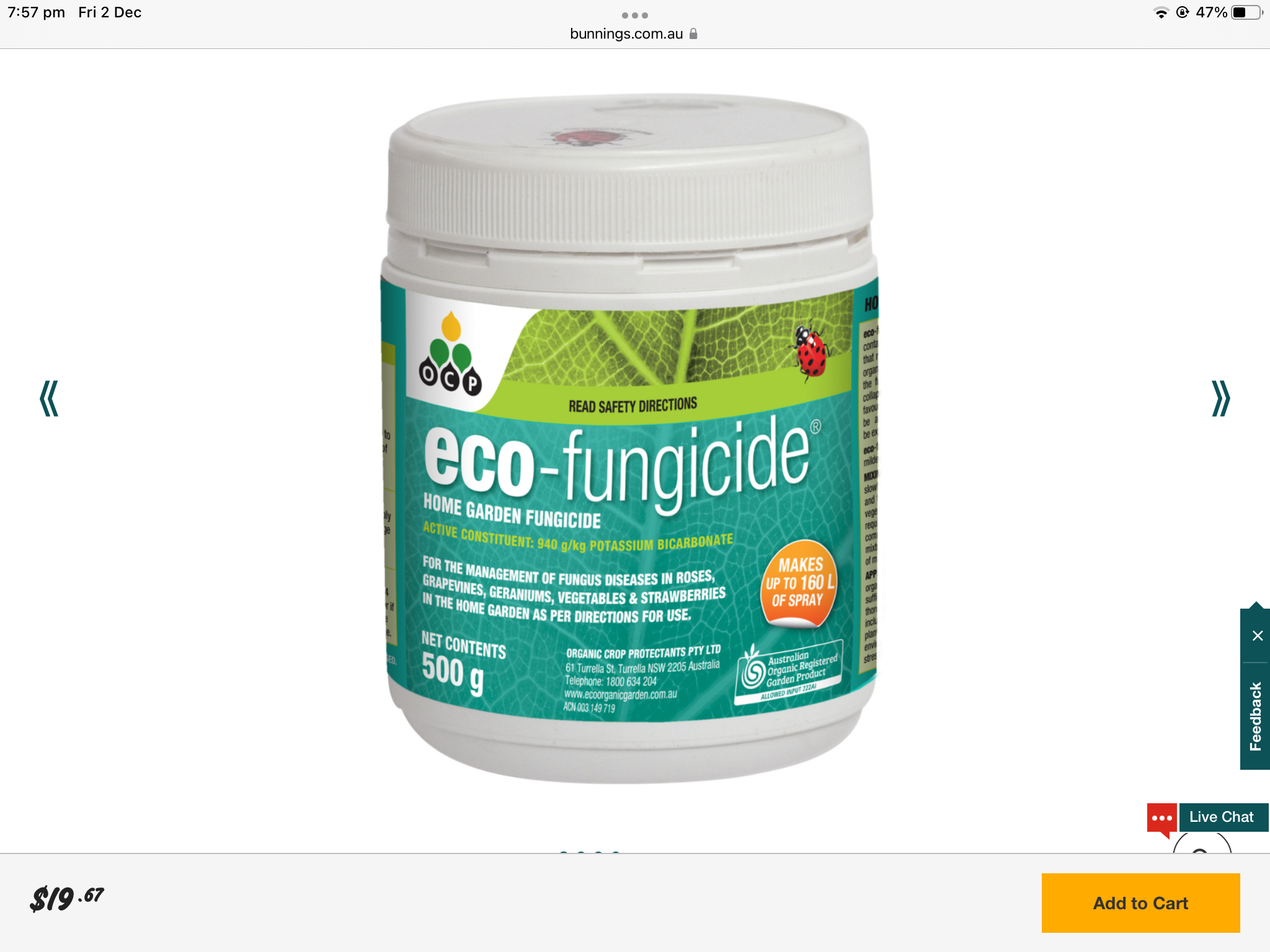 Geraniums leaves drooping and floppy Bunnings community