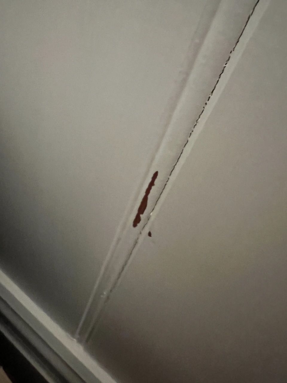 How to repair flaking paint on doors, sk... Bunnings community