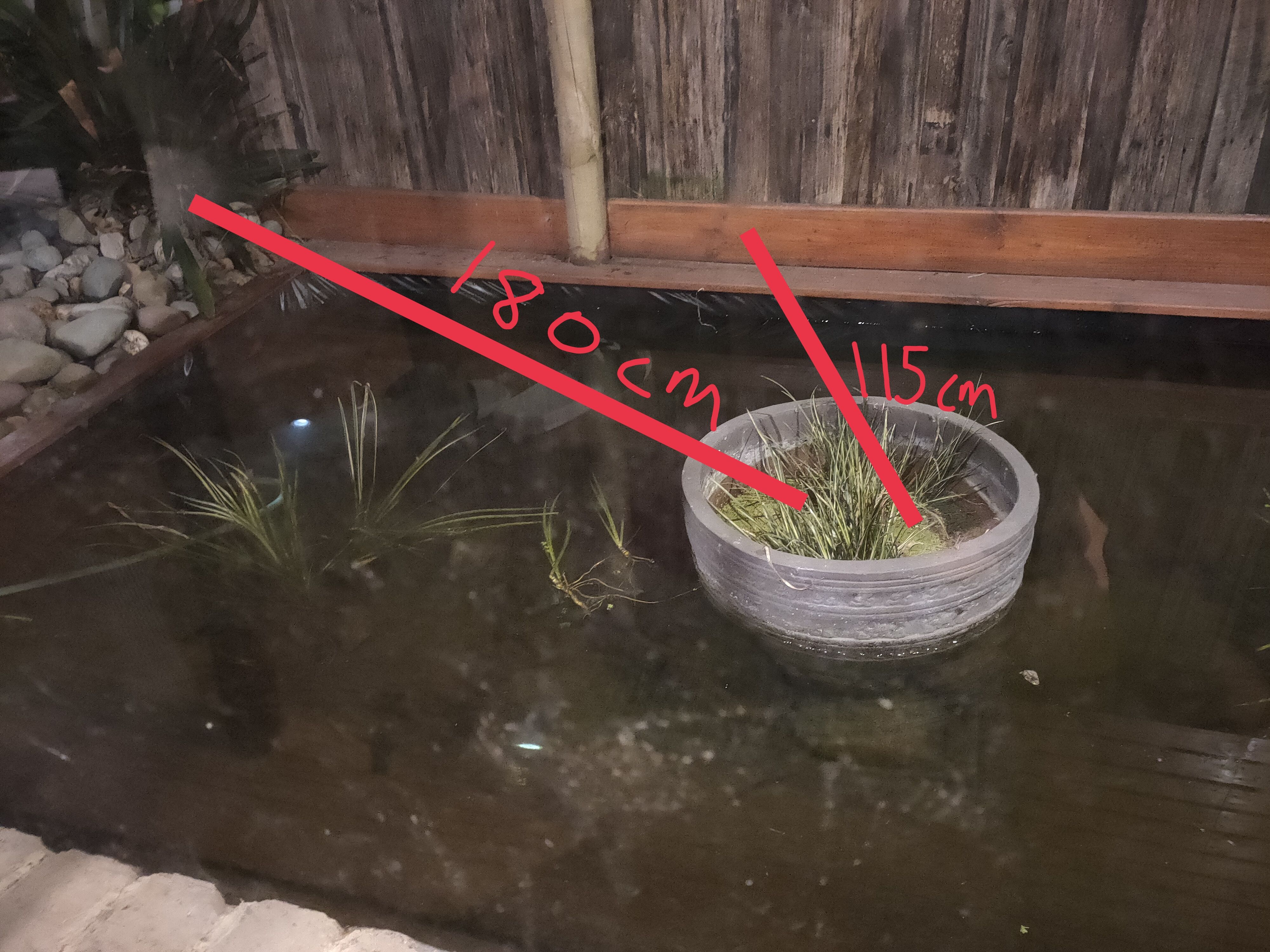 Solved How to refresh my fish pond? Bunnings community