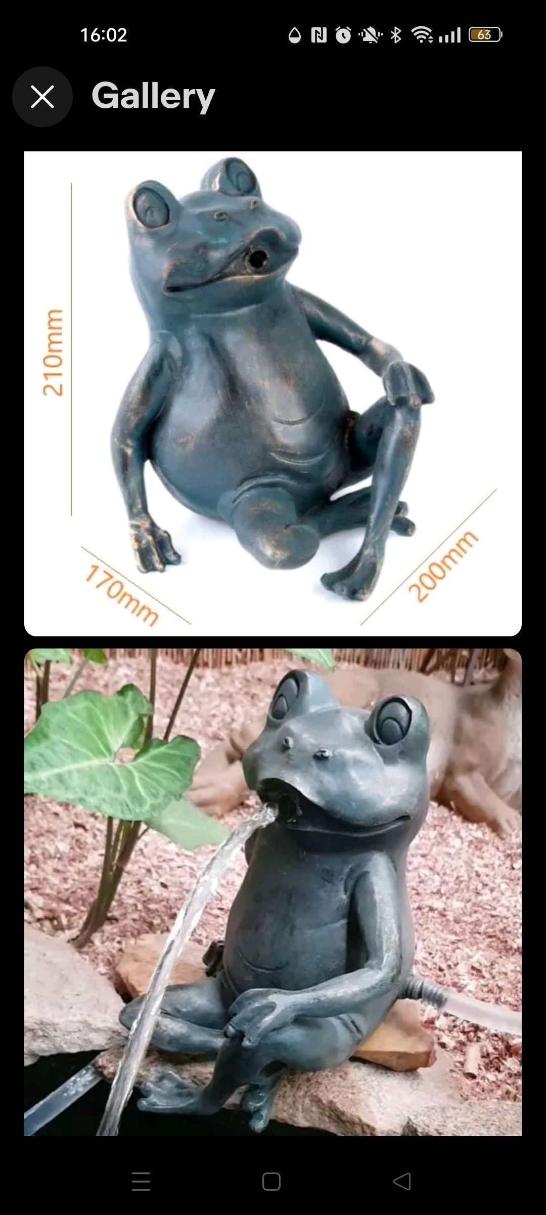 Solved How to refresh my fish pond? Bunnings community