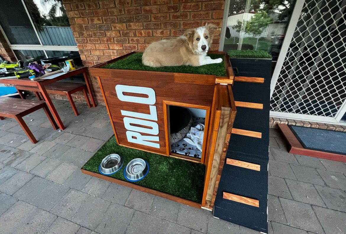 Dog kennel with ramp and rooftop Bunnings community