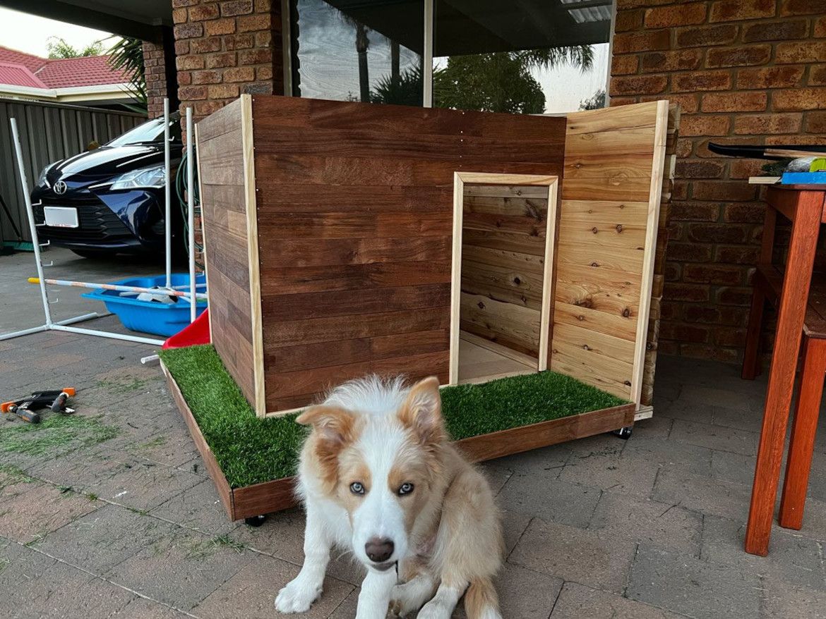 Dog kennel with ramp and rooftop Bunnings community
