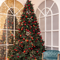 Christmas trees prefer a well-lit room