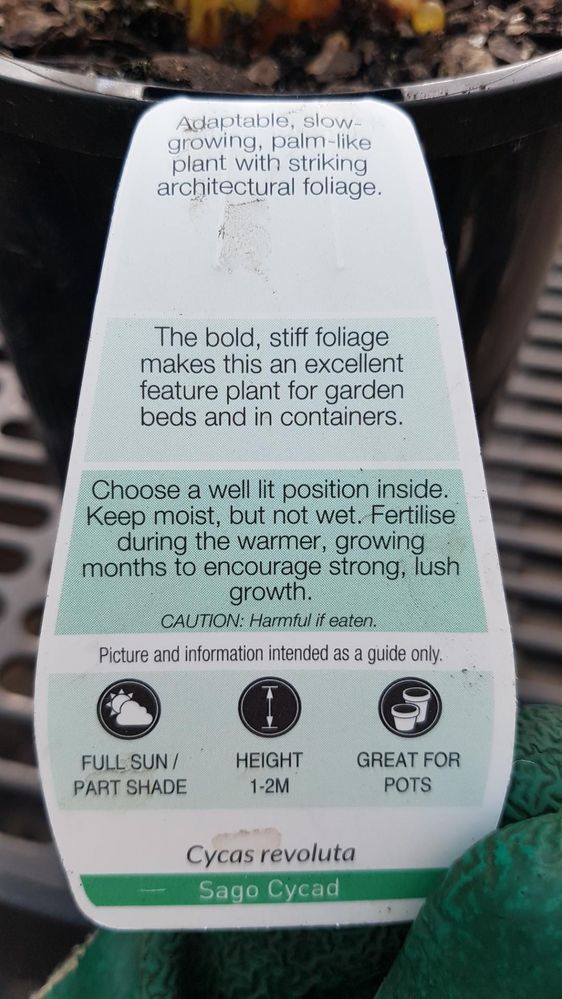 Note hazard warning on the plant label.