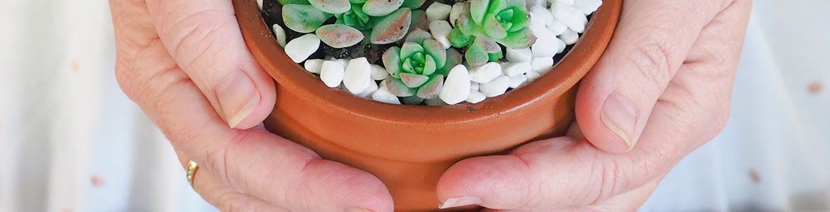 Organised_House shared how to turn a humble dip container into a cute succulent pot.