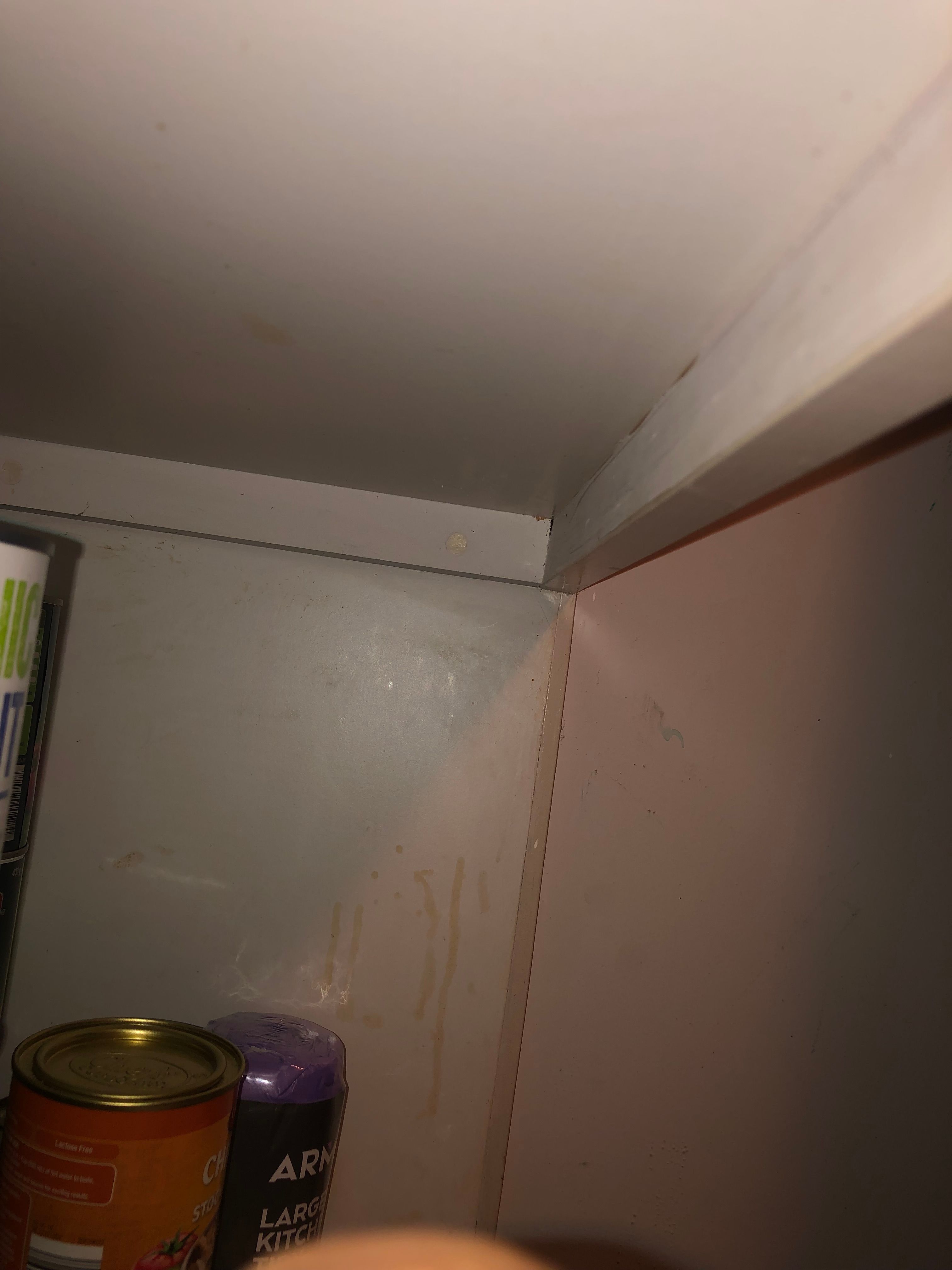 How to strengthen pantry shelf? Bunnings community