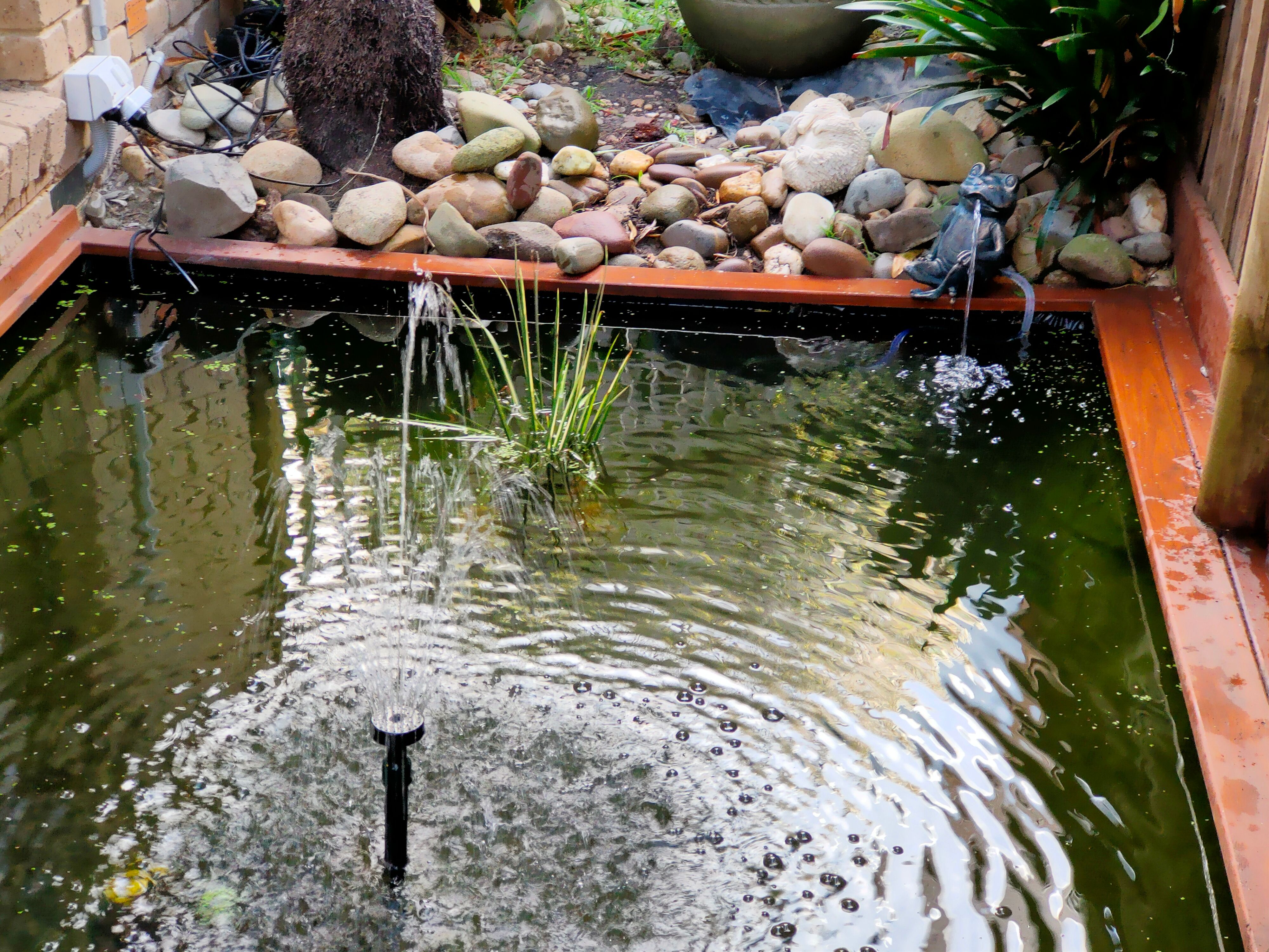 Solved How to refresh my fish pond? Bunnings community