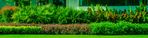 plants-in-landscaped-garden.jpeg